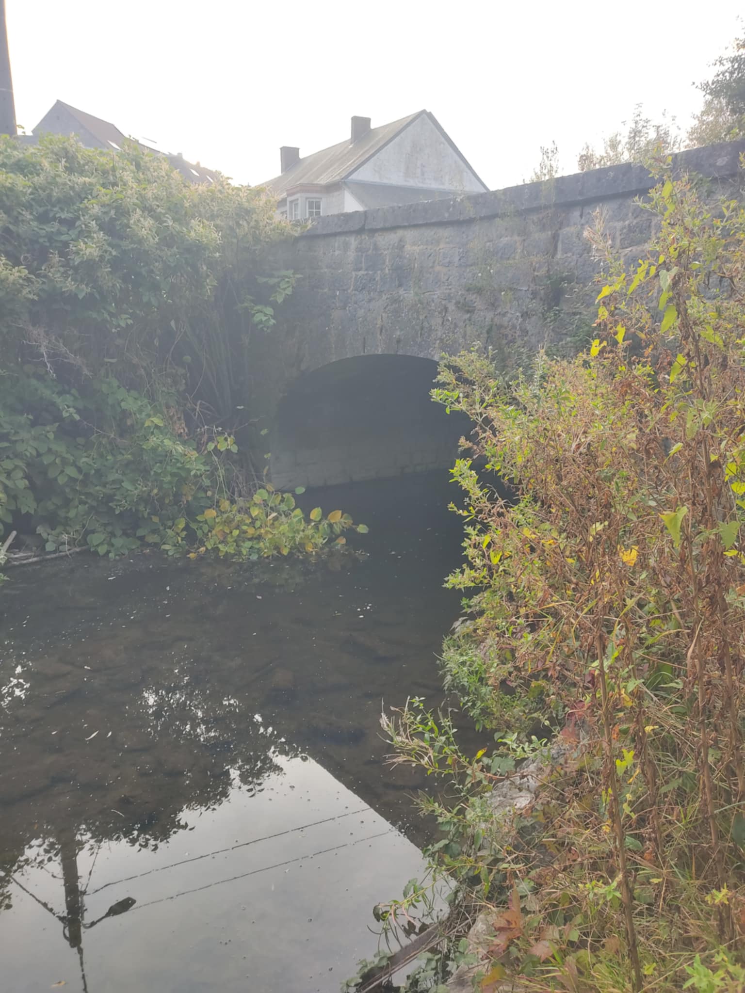 F4dea378-5982-4631-9f9f-2d1c490ead7f