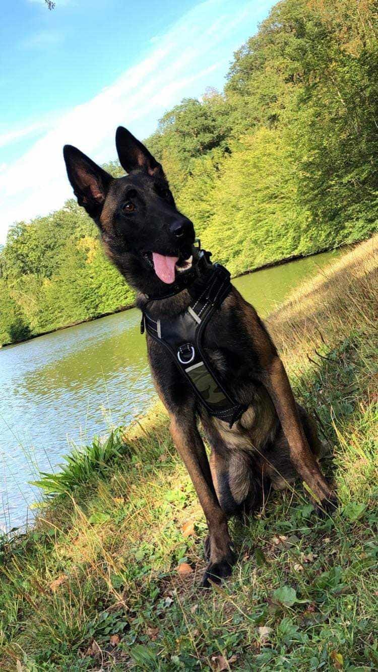 E7ad315f-71c1-473c-af7b-16e80bafb333