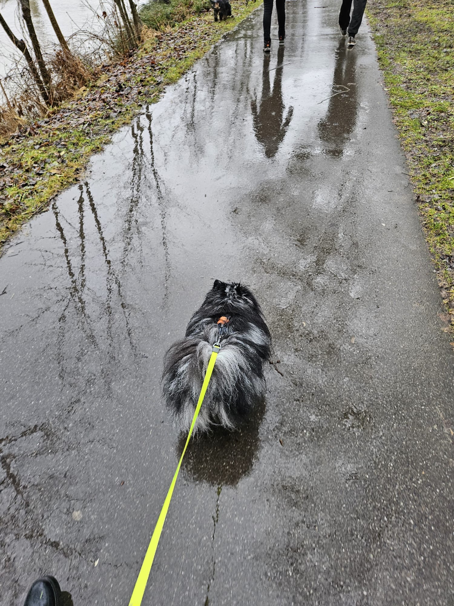 Db7fac6c-71f8-48de-bdd8-dbe767355cbc