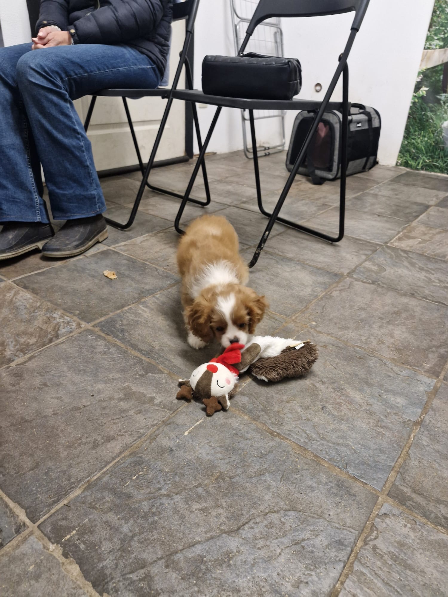 41a9b119-f496-429a-83c9-be8669da368b