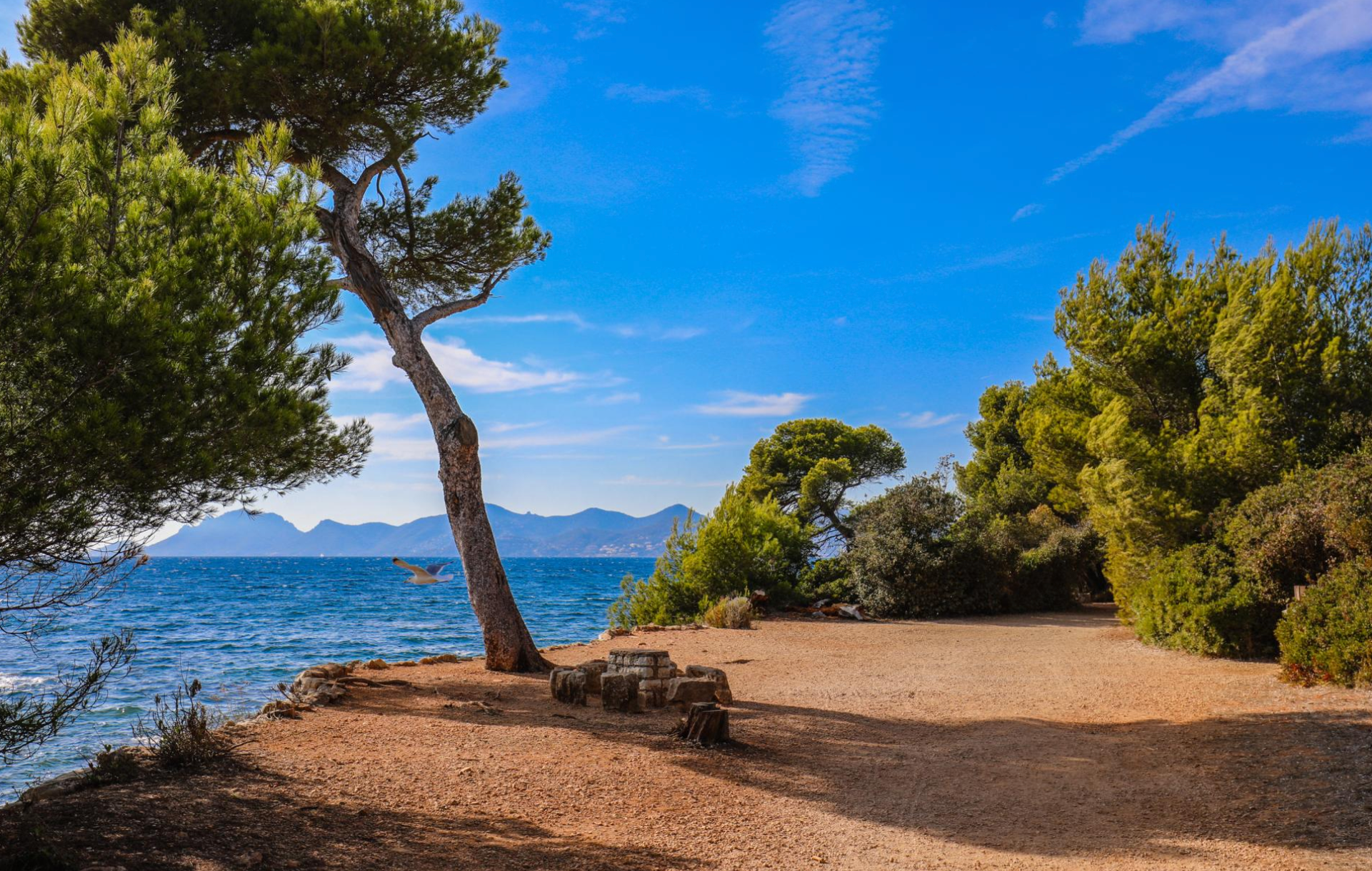 Sainte marguerite 11