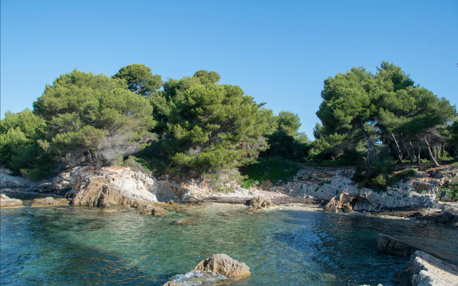 Sainte marguerite 12