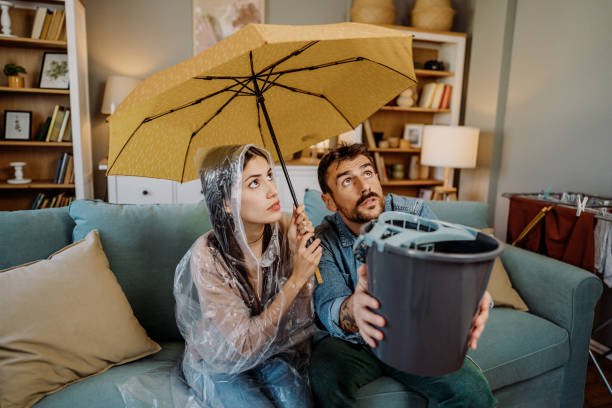 Istockphoto-2153980307-612x612