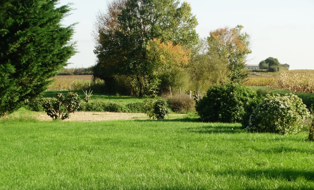 Dsc04055 1 