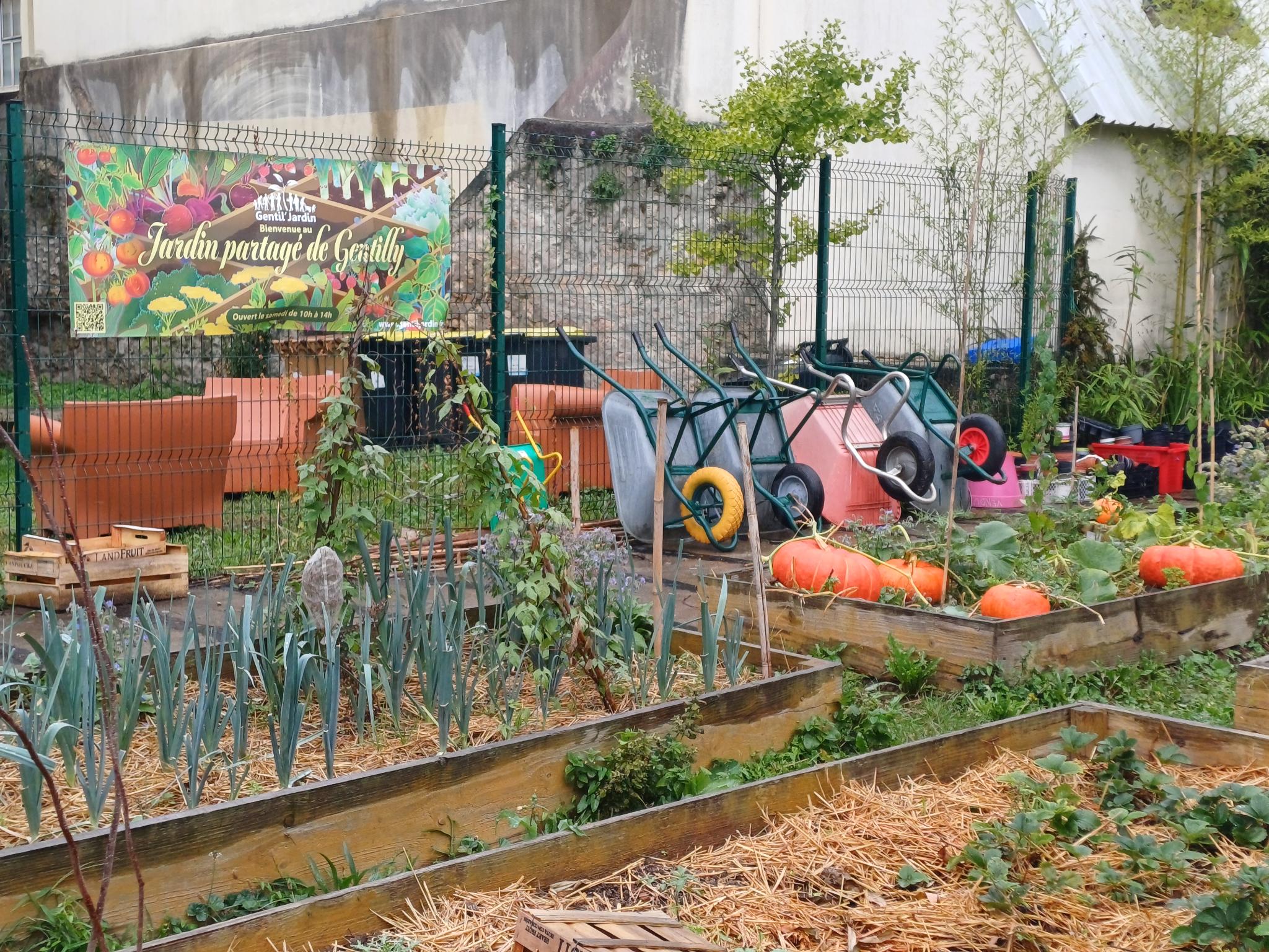 Signal 2025 09 20 155748 002