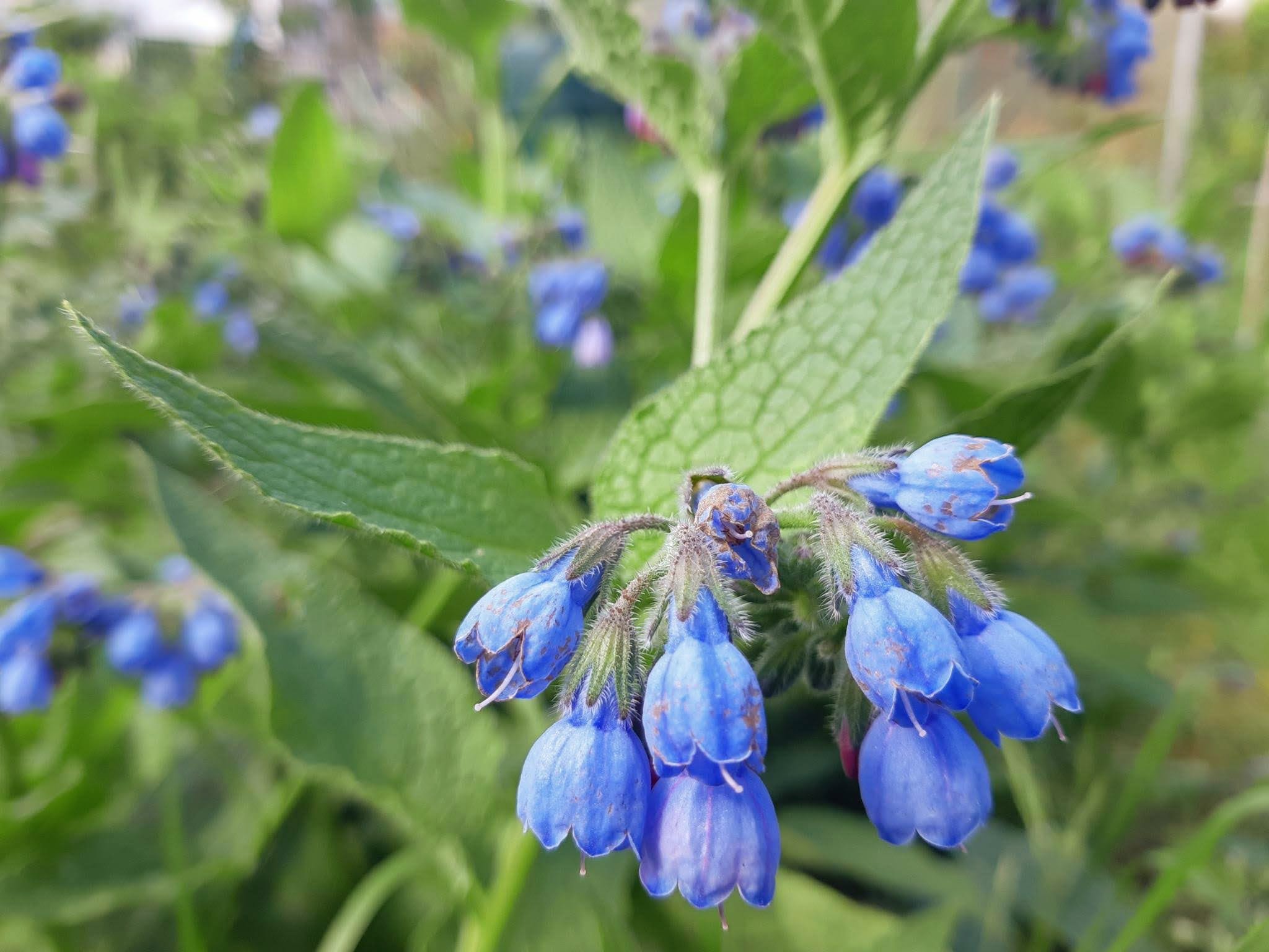 Signal 2024 05 25 150033 005 1 