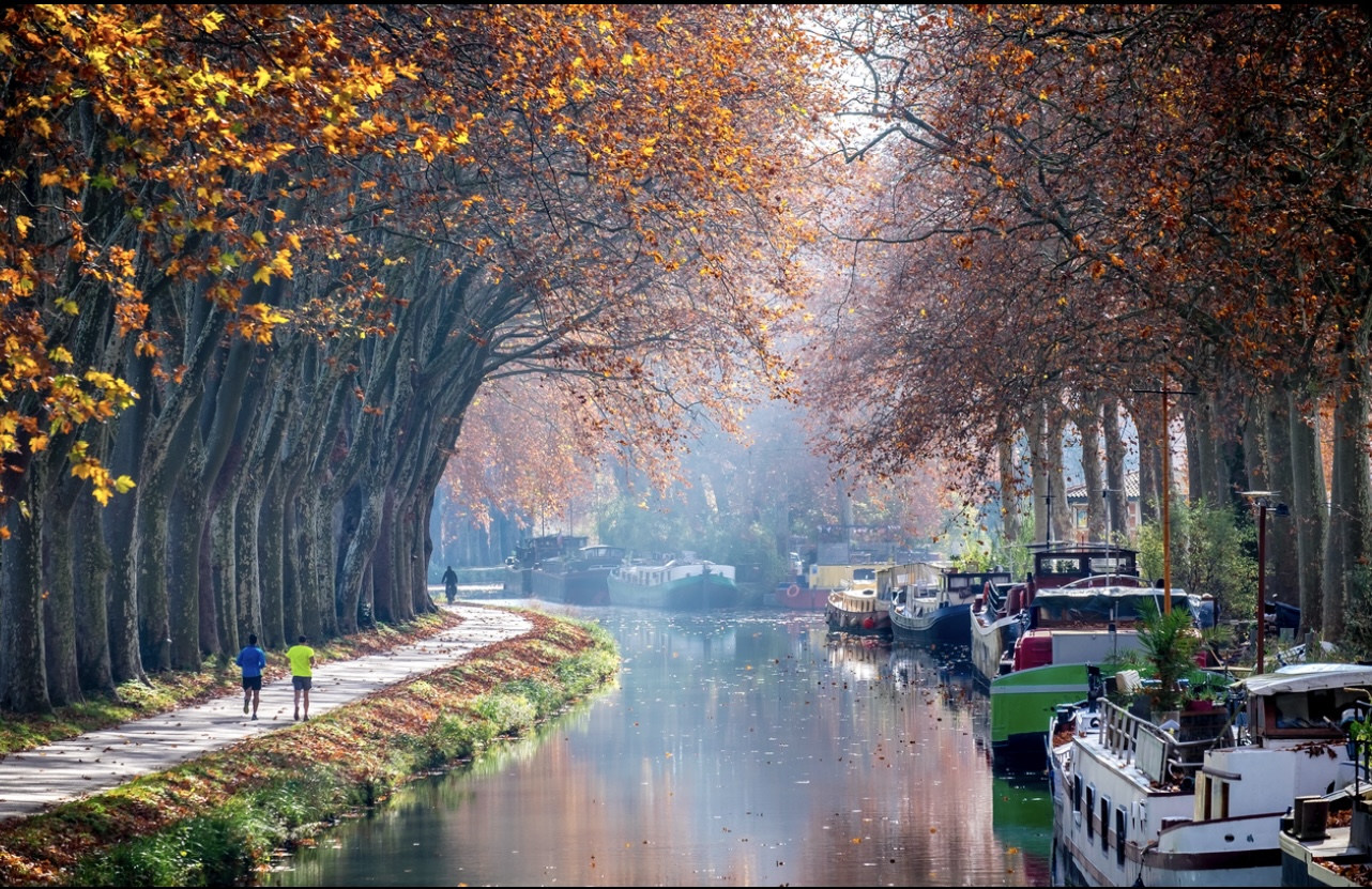 Promenade entre nature et péniche Airbnb Toulouse