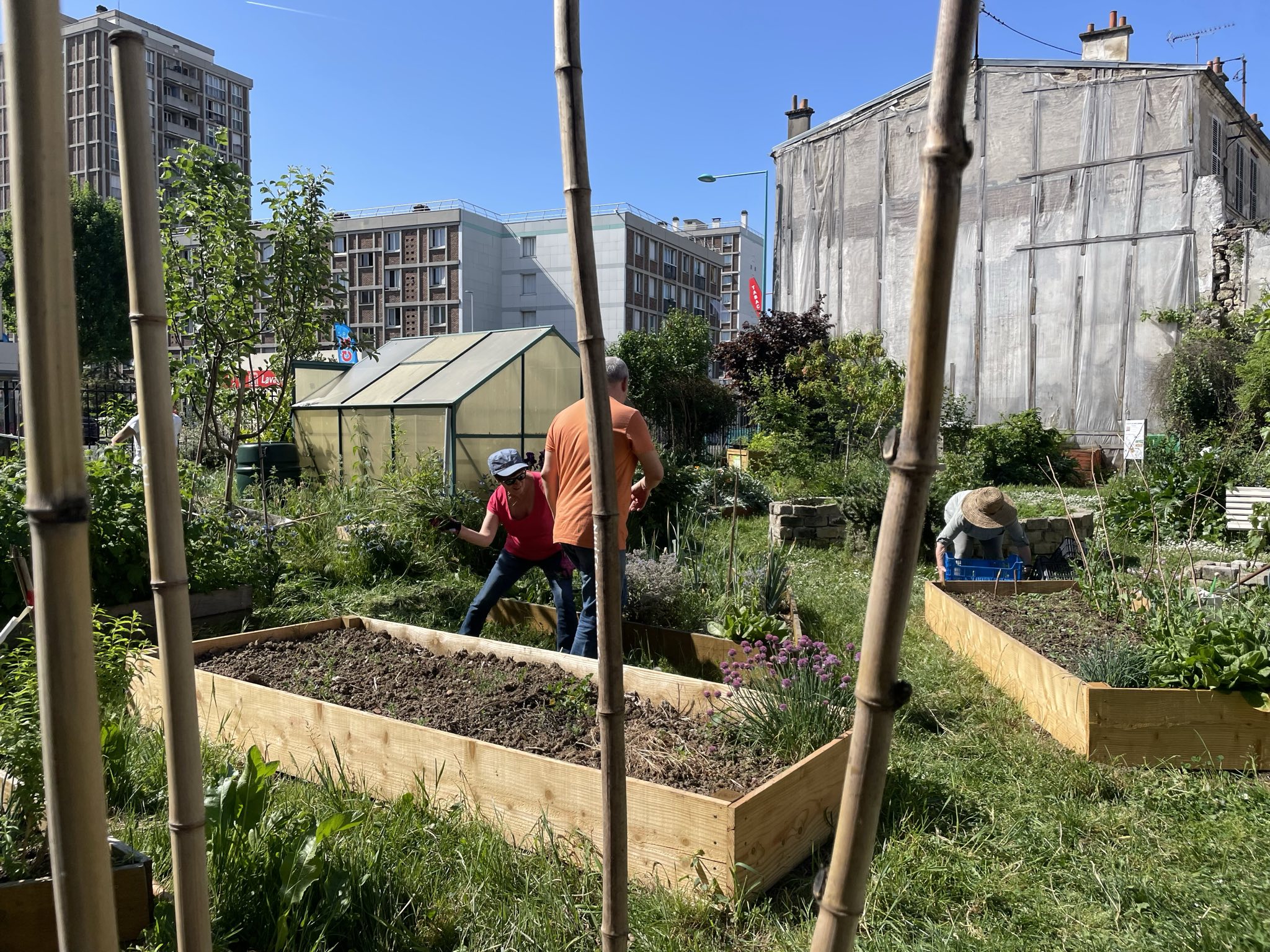 Signal-2025-05-03-152156 005