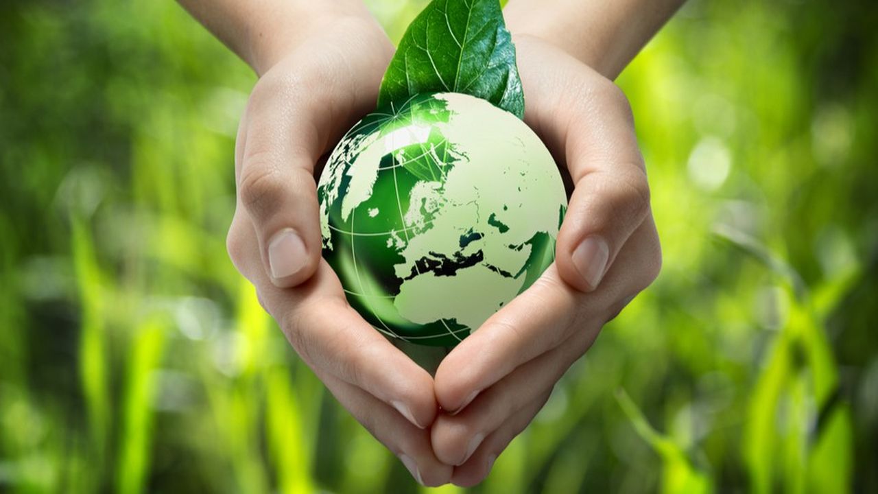 332757-engagement-ecologique-des-entreprises-encore-quelques-efforts-web-tete-0602155857206