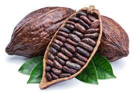 Cacao6