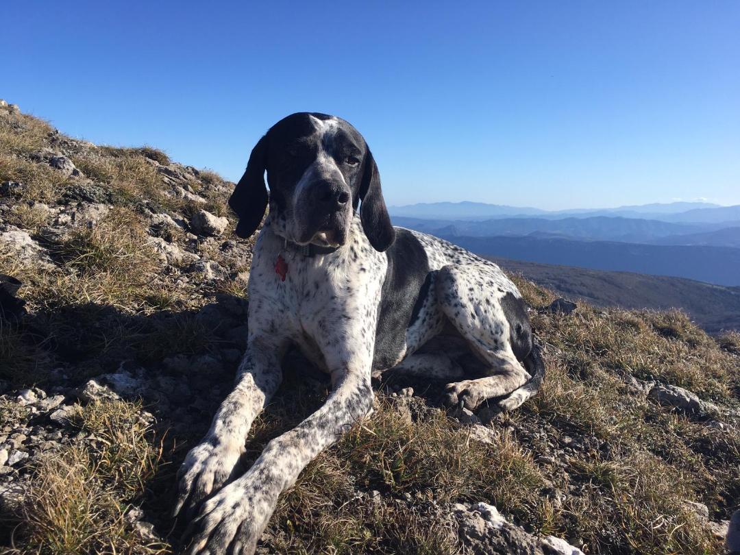 E9ed3728-18de-4883-9e63-7dd8d66cb30e