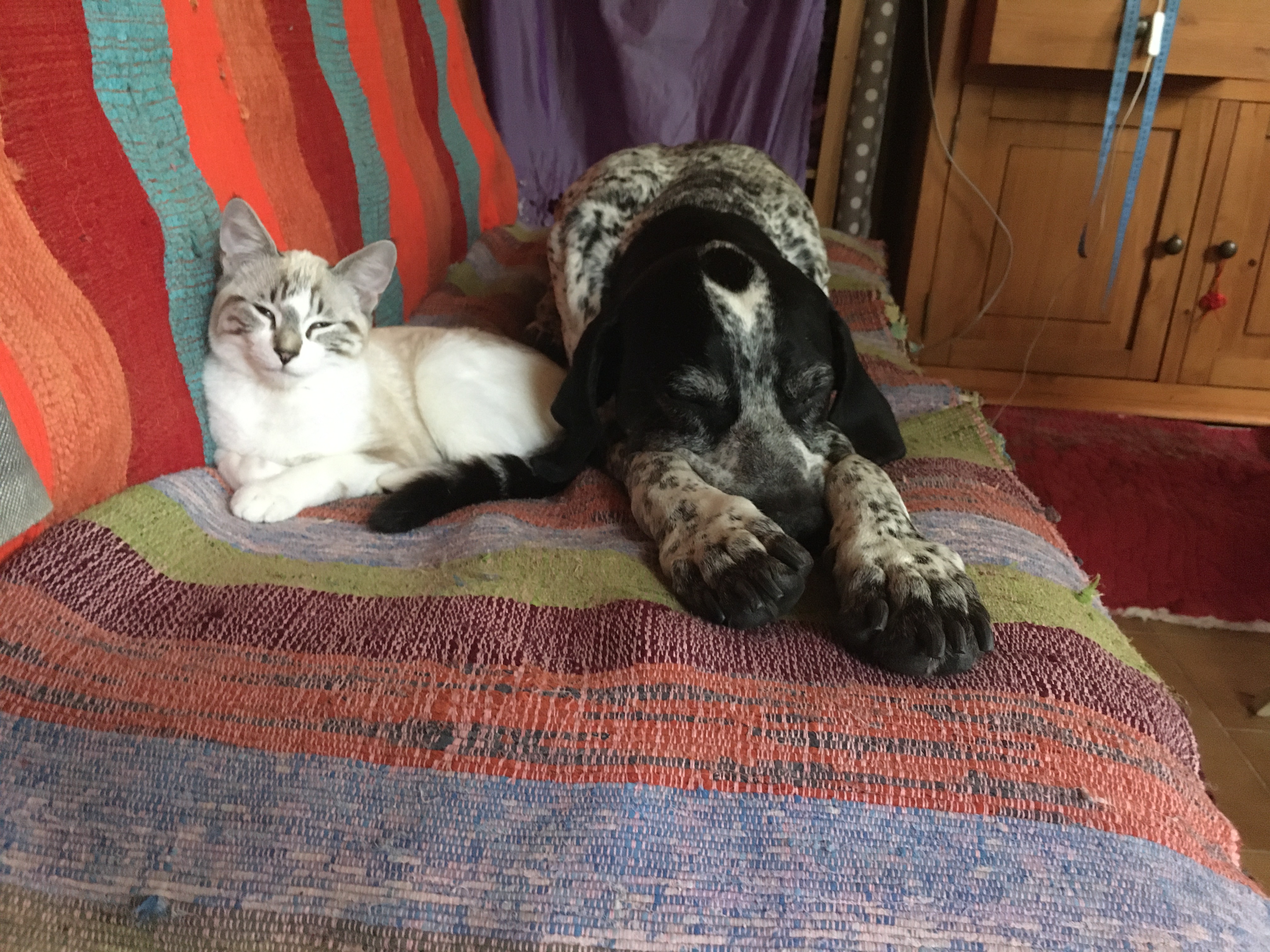 883e1d38-5c7d-4d7a-baf8-0364a618e451