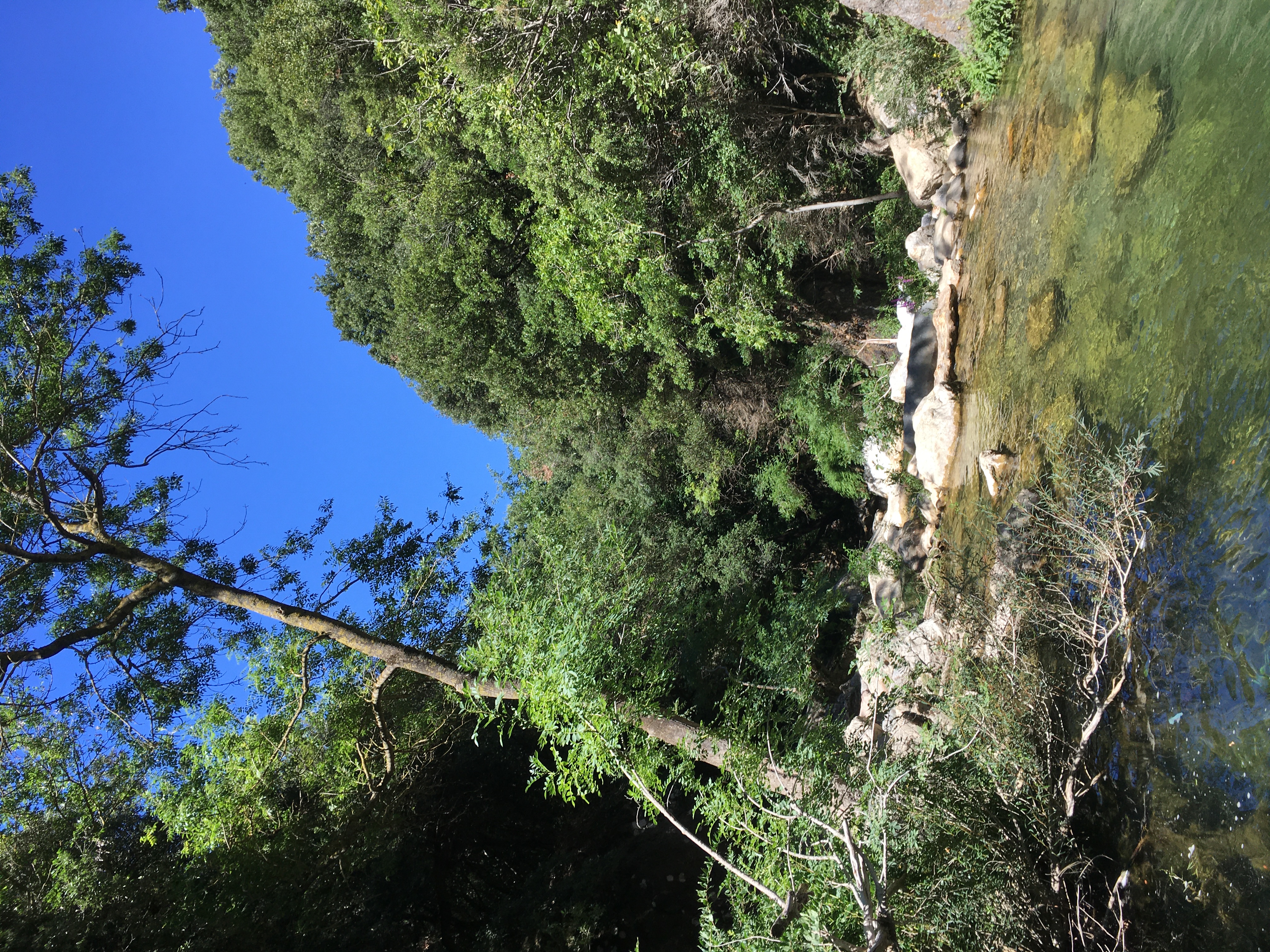 8A553200-30F6-403B-BC14-6875A54BE10D