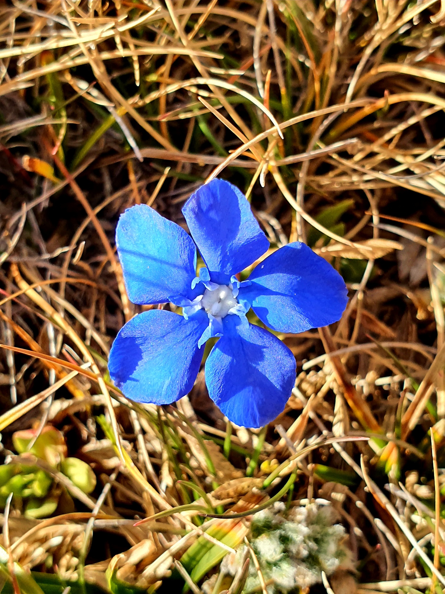 20201029 195323 resized