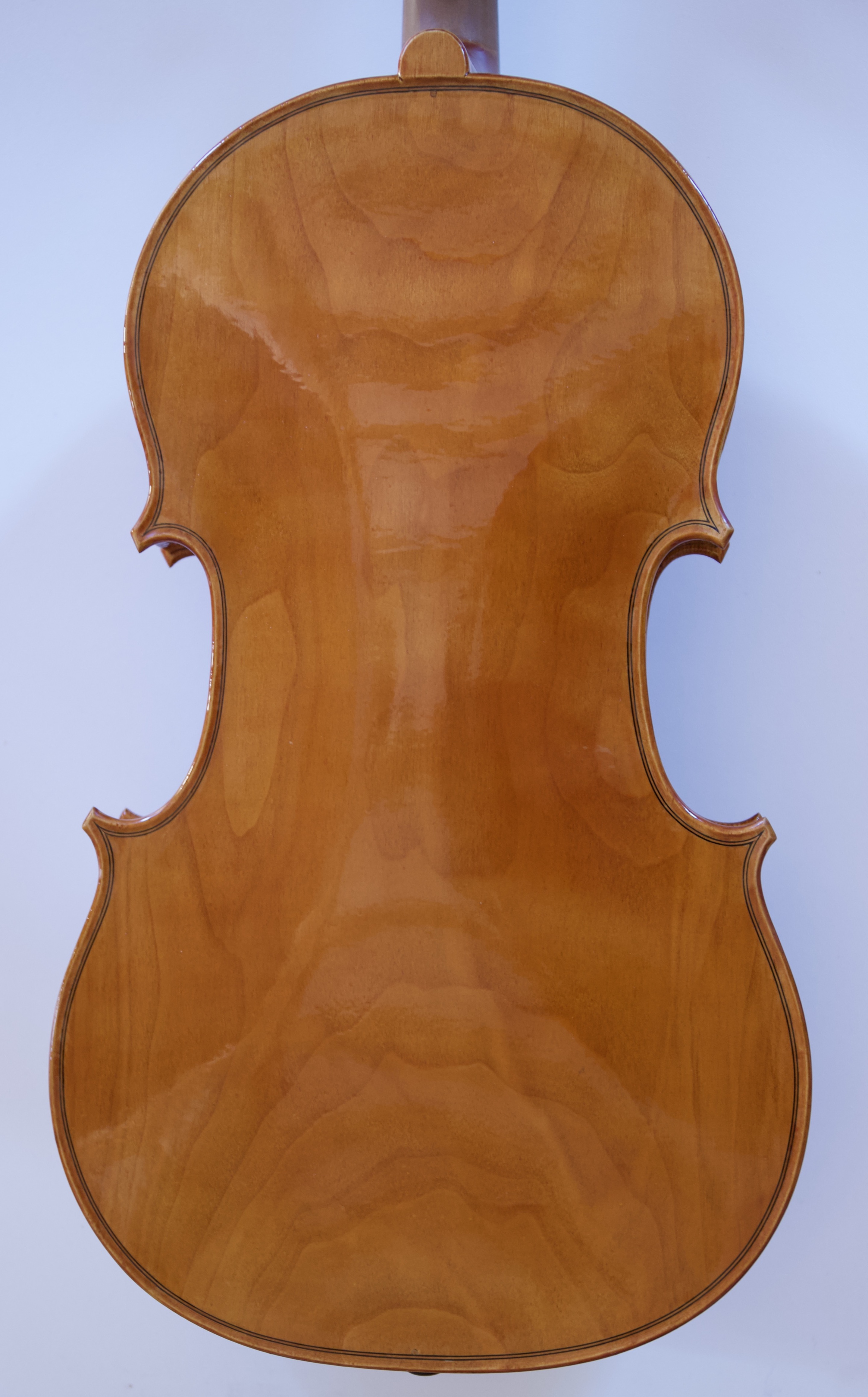 mg 0226
