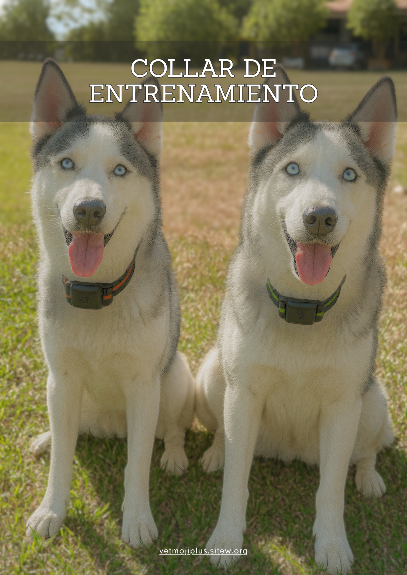 Documento a4 redes sociales marketing plantilla fotos moderno negrita gris 38 