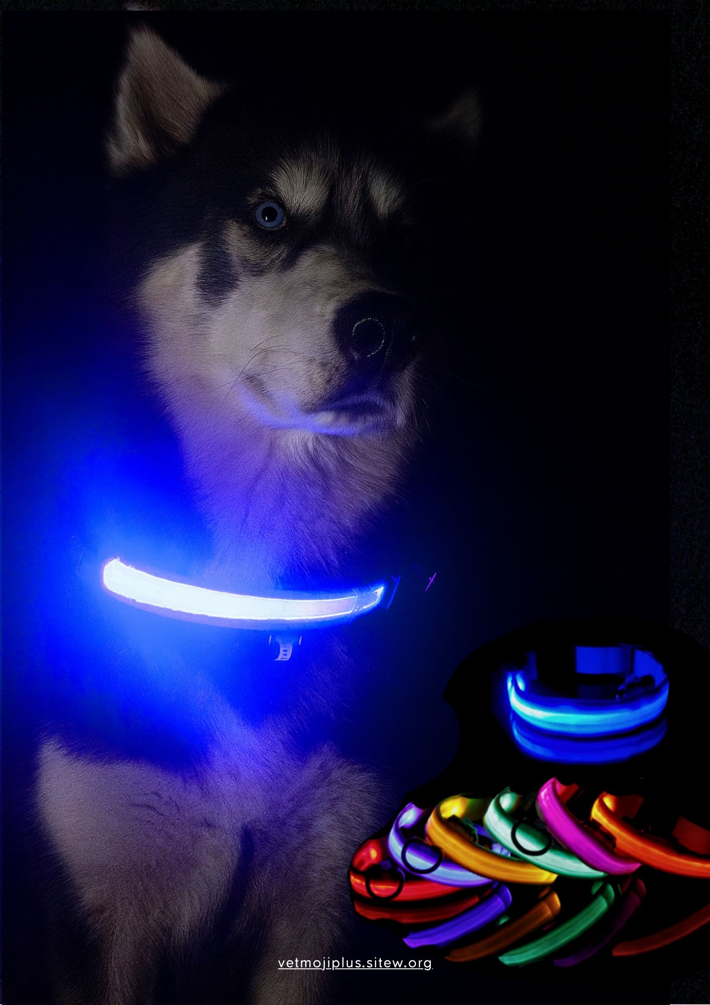 Documento a4 redes sociales marketing plantilla fotos moderno negrita gris 39 