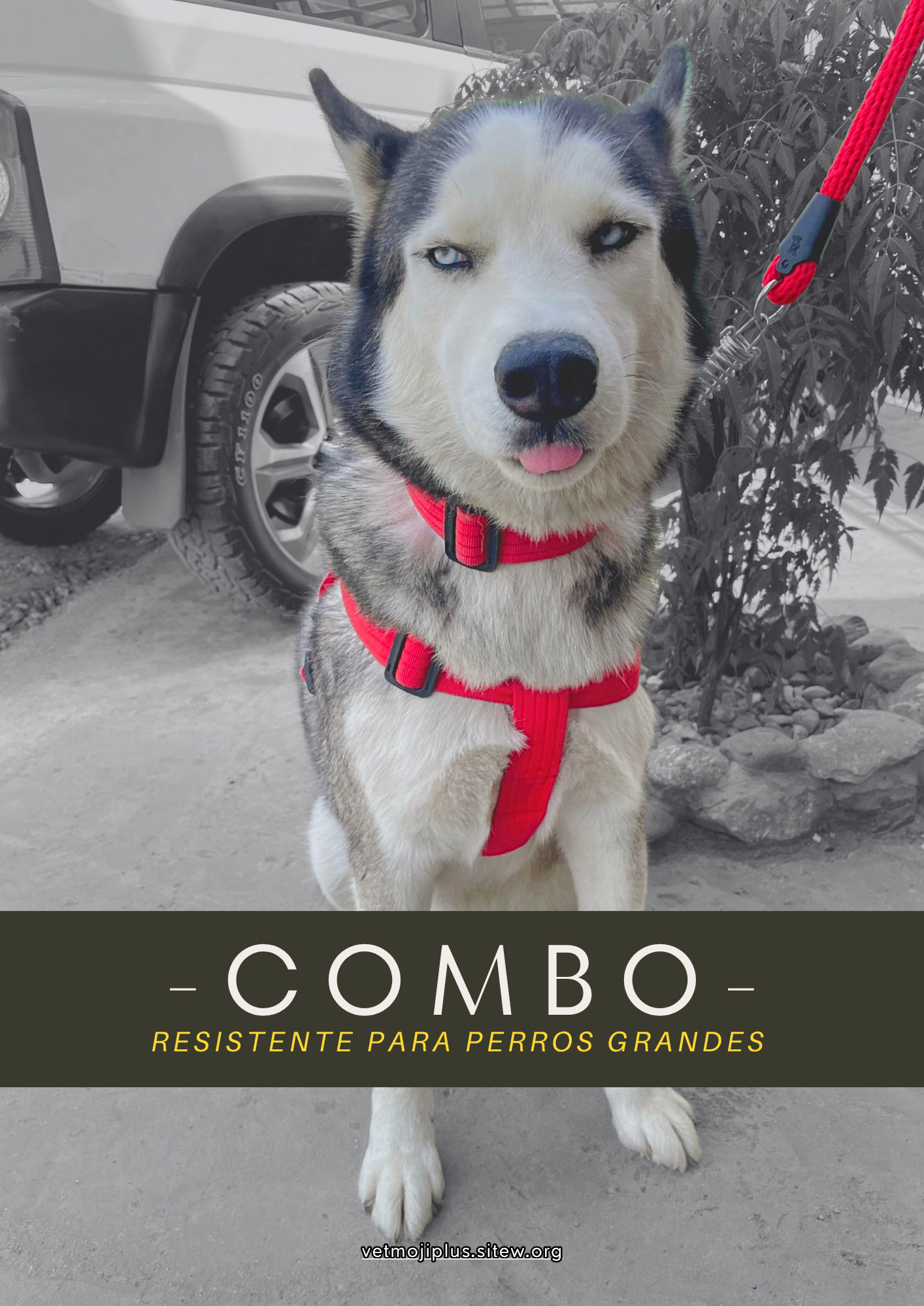 Documento a4 redes sociales marketing plantilla fotos moderno negrita gris 43 