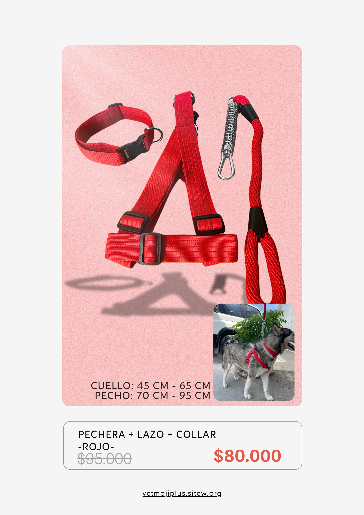 Documento a4 redes sociales marketing plantilla fotos moderno negrita gris 44 