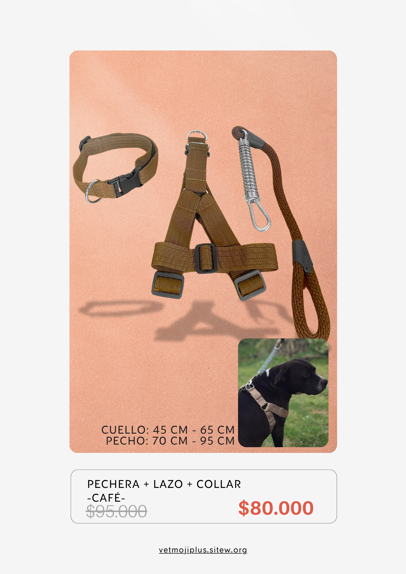 Documento a4 redes sociales marketing plantilla fotos moderno negrita gris 47 