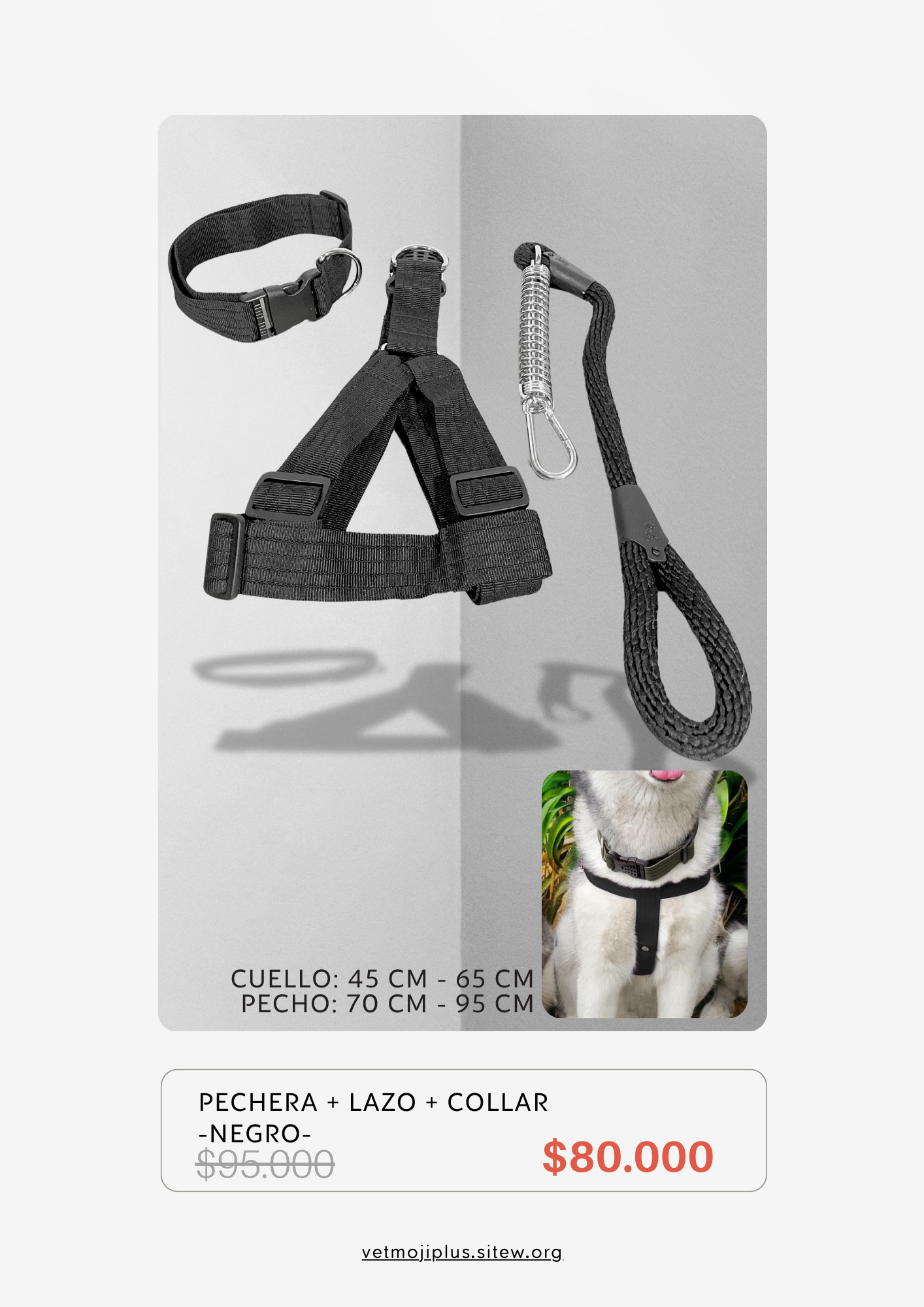 Documento a4 redes sociales marketing plantilla fotos moderno negrita gris 49 