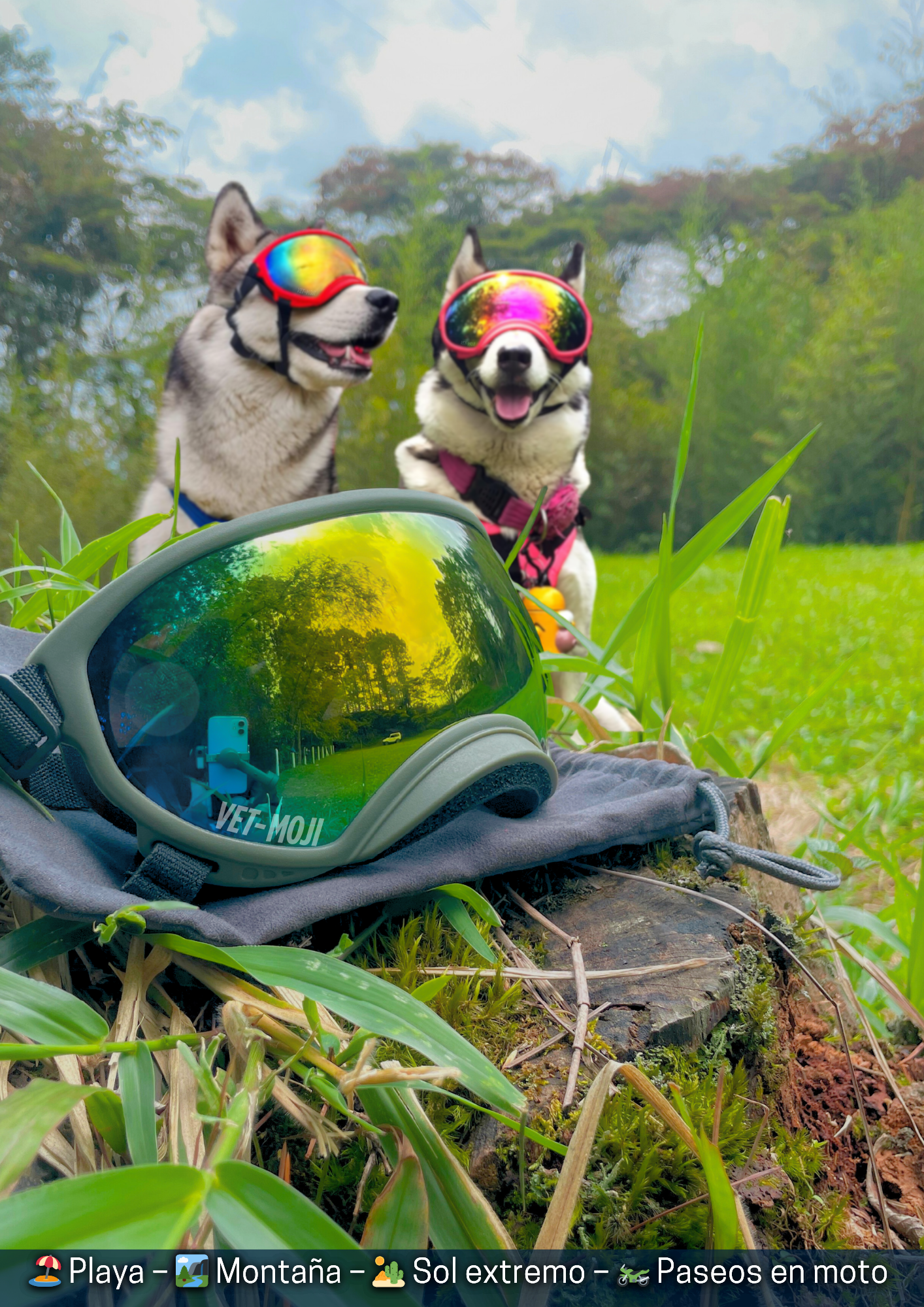 Documento a4 redes sociales marketing plantilla fotos moderno negrita gris 50 