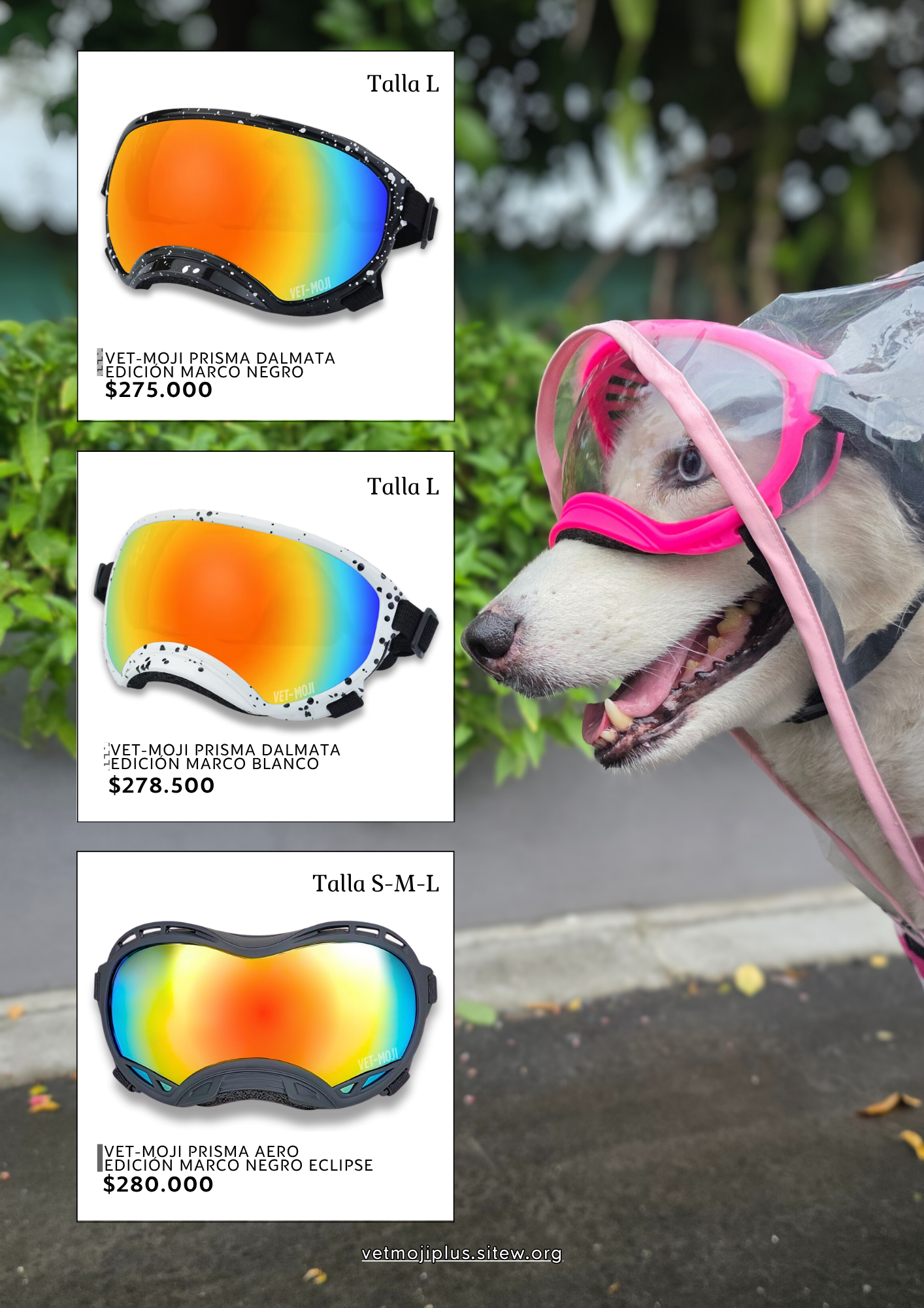 Documento a4 redes sociales marketing plantilla fotos moderno negrita gris 53 