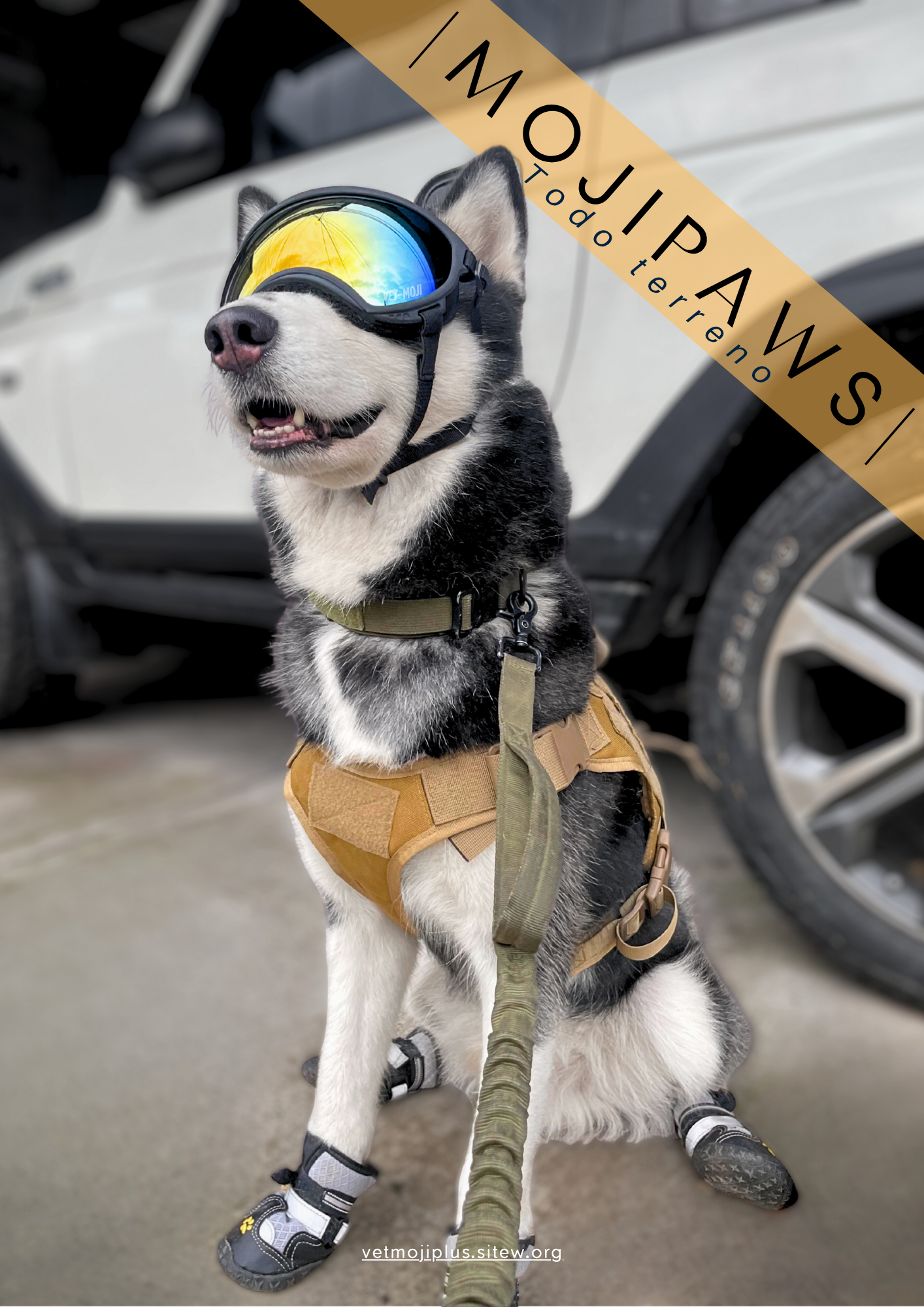 Documento a4 redes sociales marketing plantilla fotos moderno negrita gris 55 