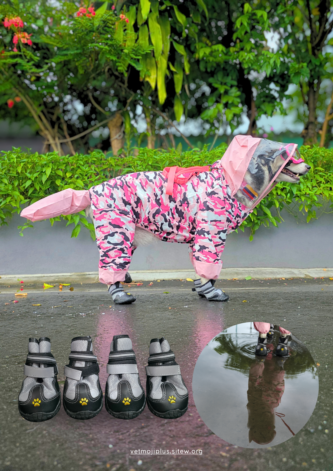 Documento a4 redes sociales marketing plantilla fotos moderno negrita gris 58 