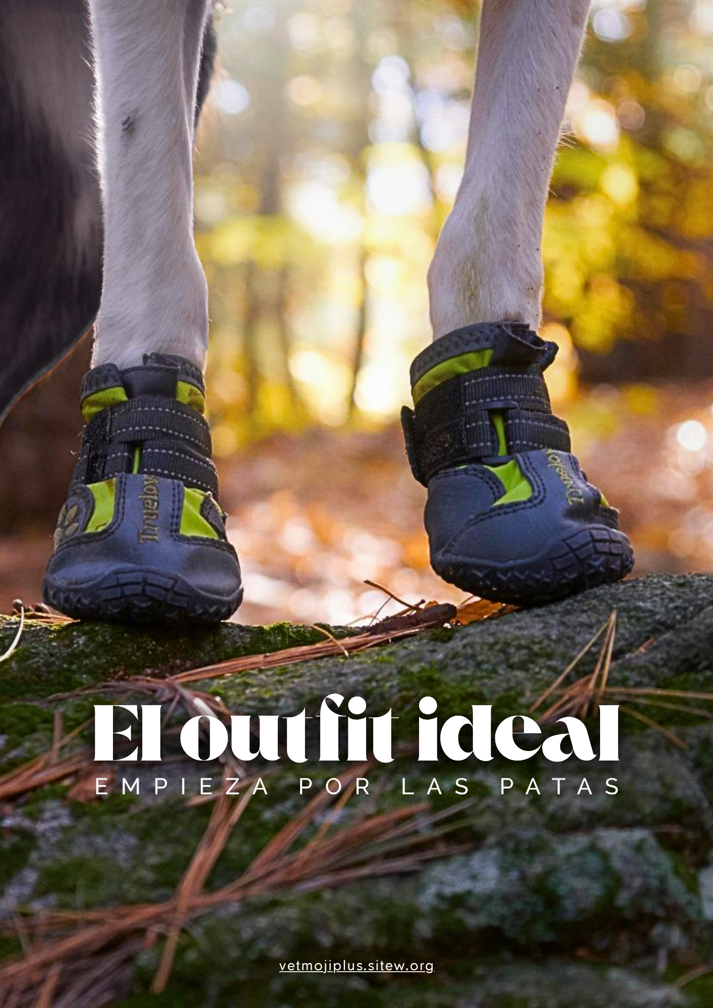 Documento a4 redes sociales marketing plantilla fotos moderno negrita gris 59 