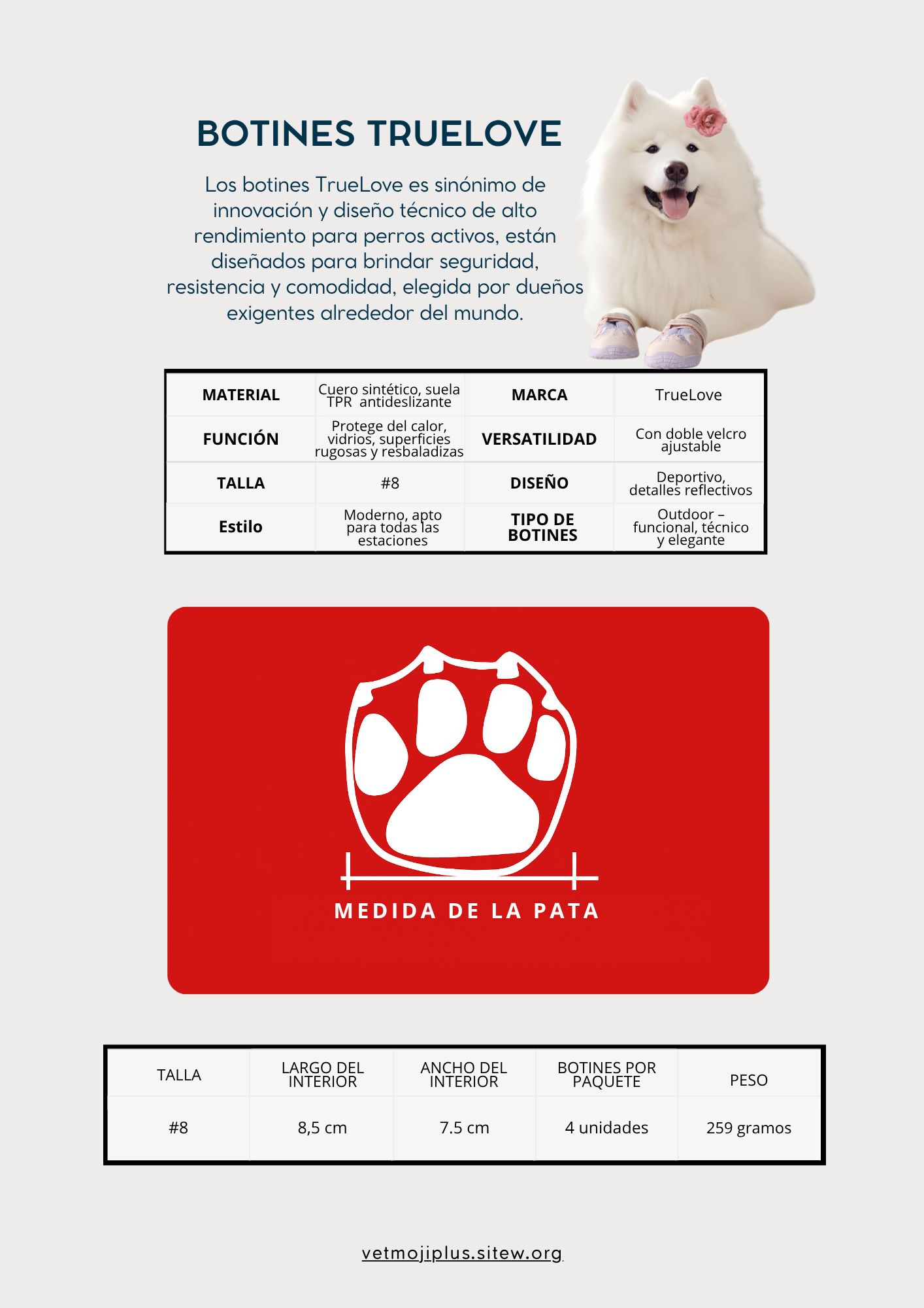 Documento a4 redes sociales marketing plantilla fotos moderno negrita gris 60 