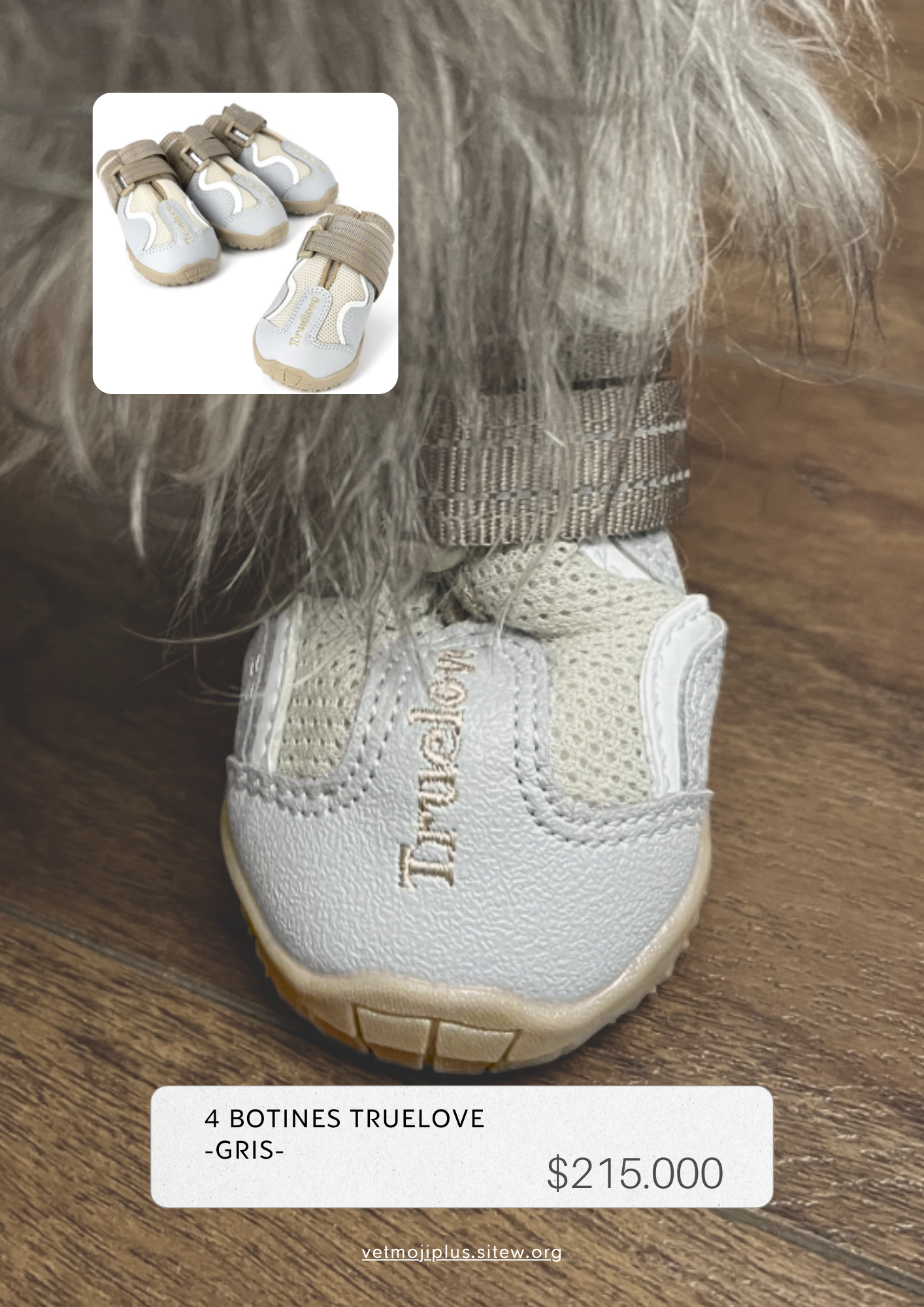 Documento a4 redes sociales marketing plantilla fotos moderno negrita gris 62 