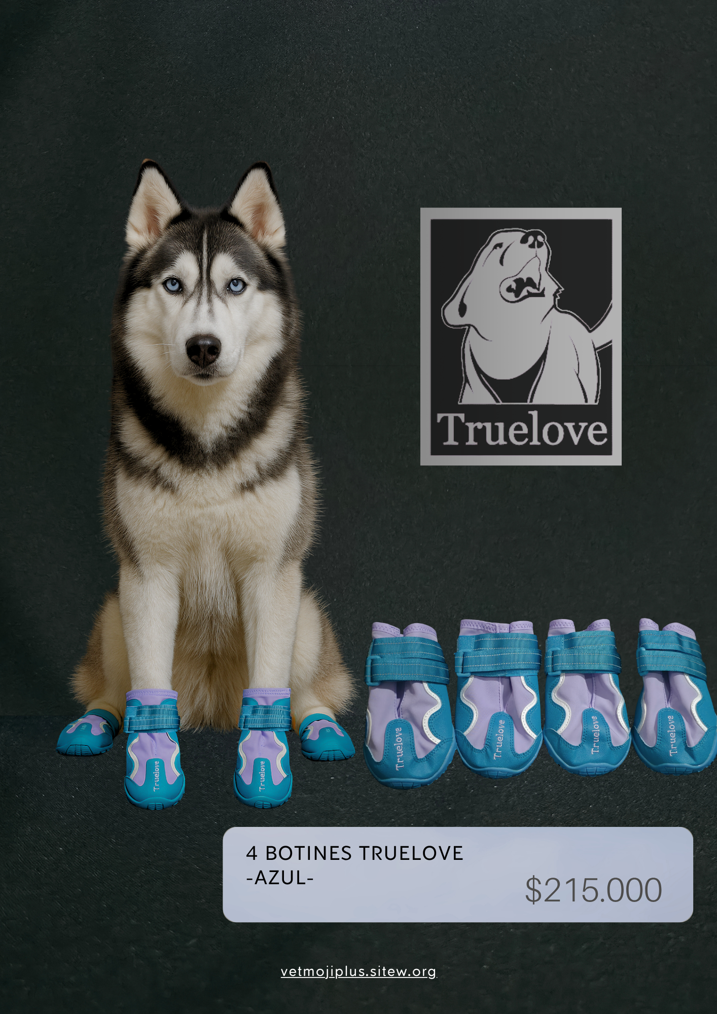 Documento a4 redes sociales marketing plantilla fotos moderno negrita gris 64 