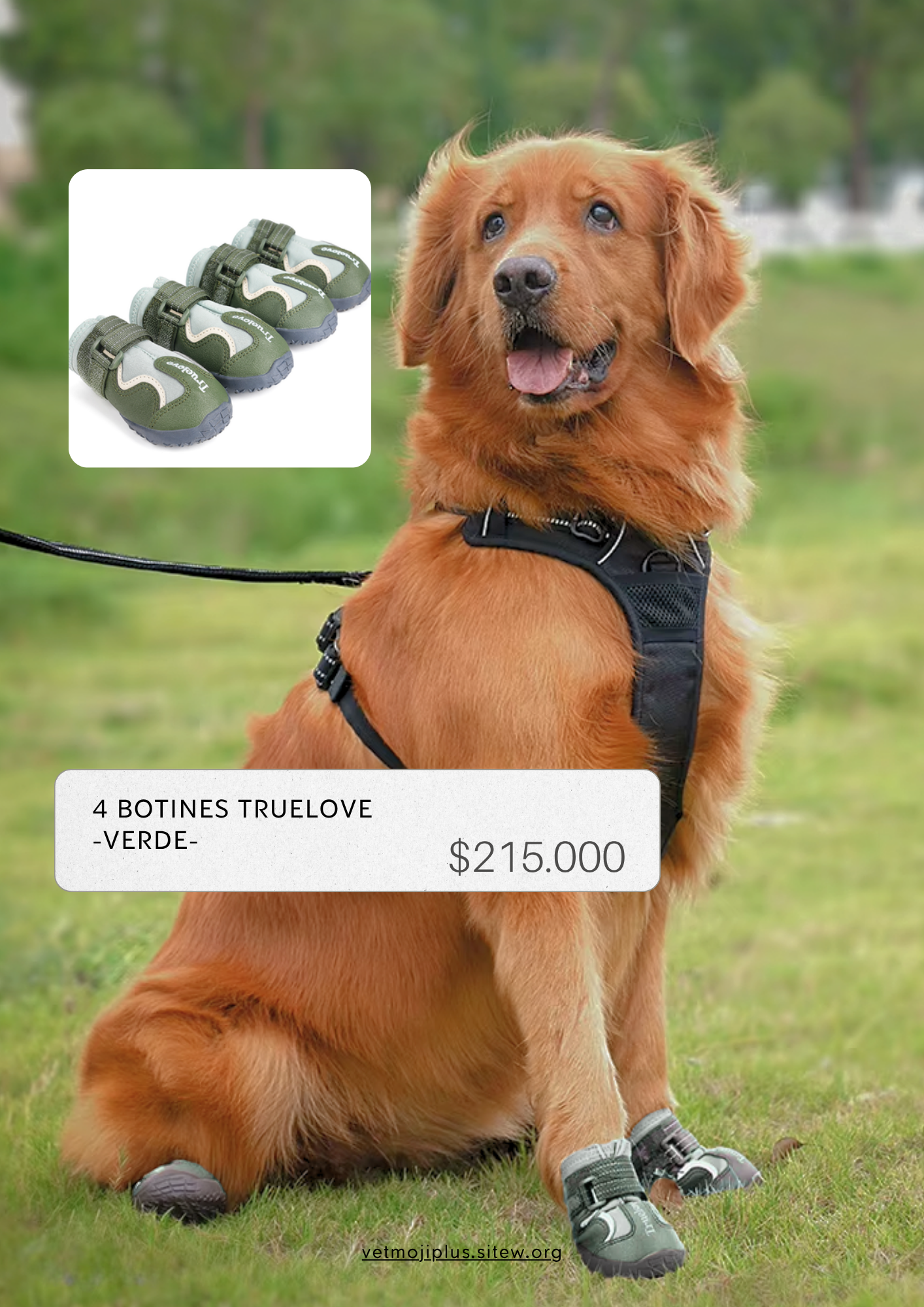 Documento a4 redes sociales marketing plantilla fotos moderno negrita gris 65 