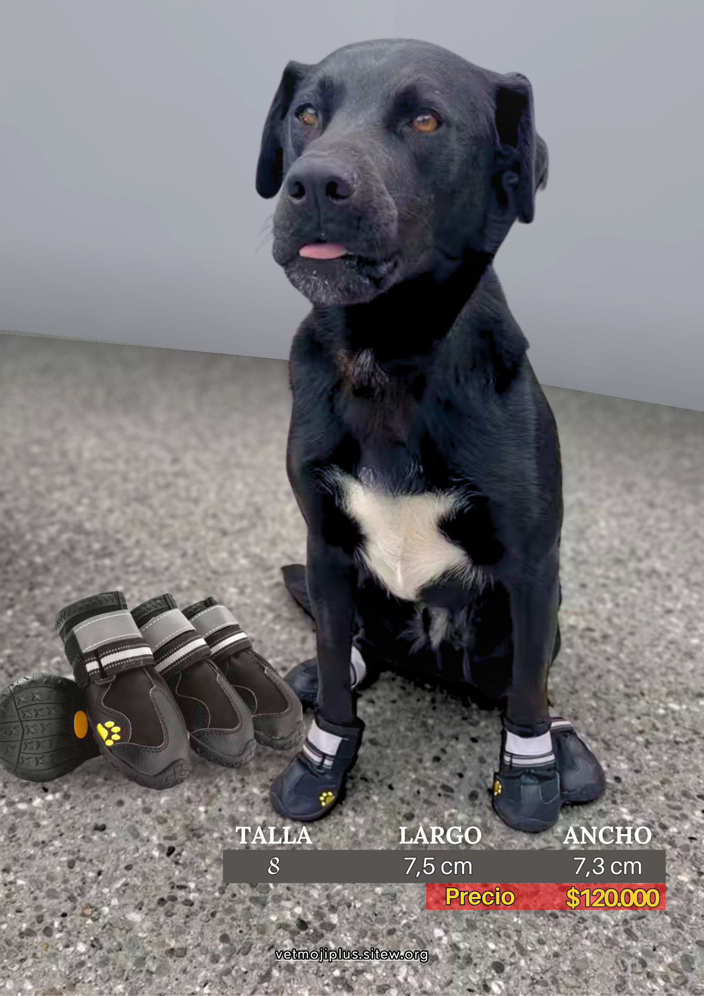 Documento a4 redes sociales marketing plantilla fotos moderno negrita gris 67 