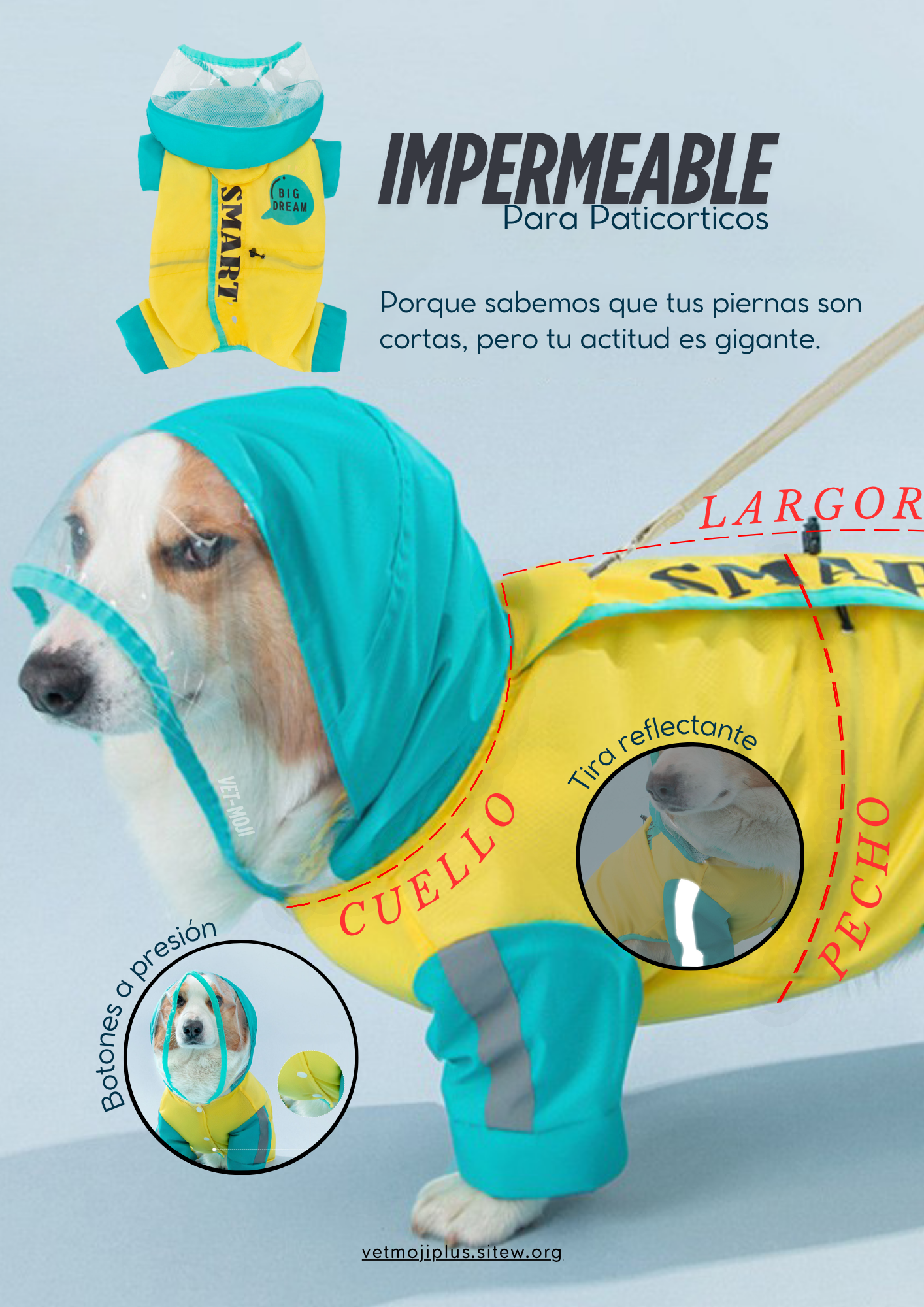 Documento a4 redes sociales marketing plantilla fotos moderno negrita gris 69 