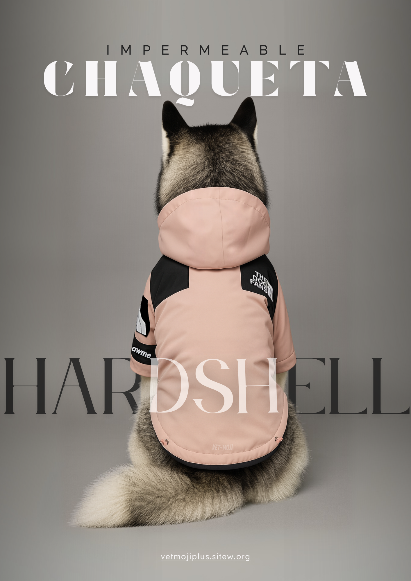 Documento a4 redes sociales marketing plantilla fotos moderno negrita gris 75 