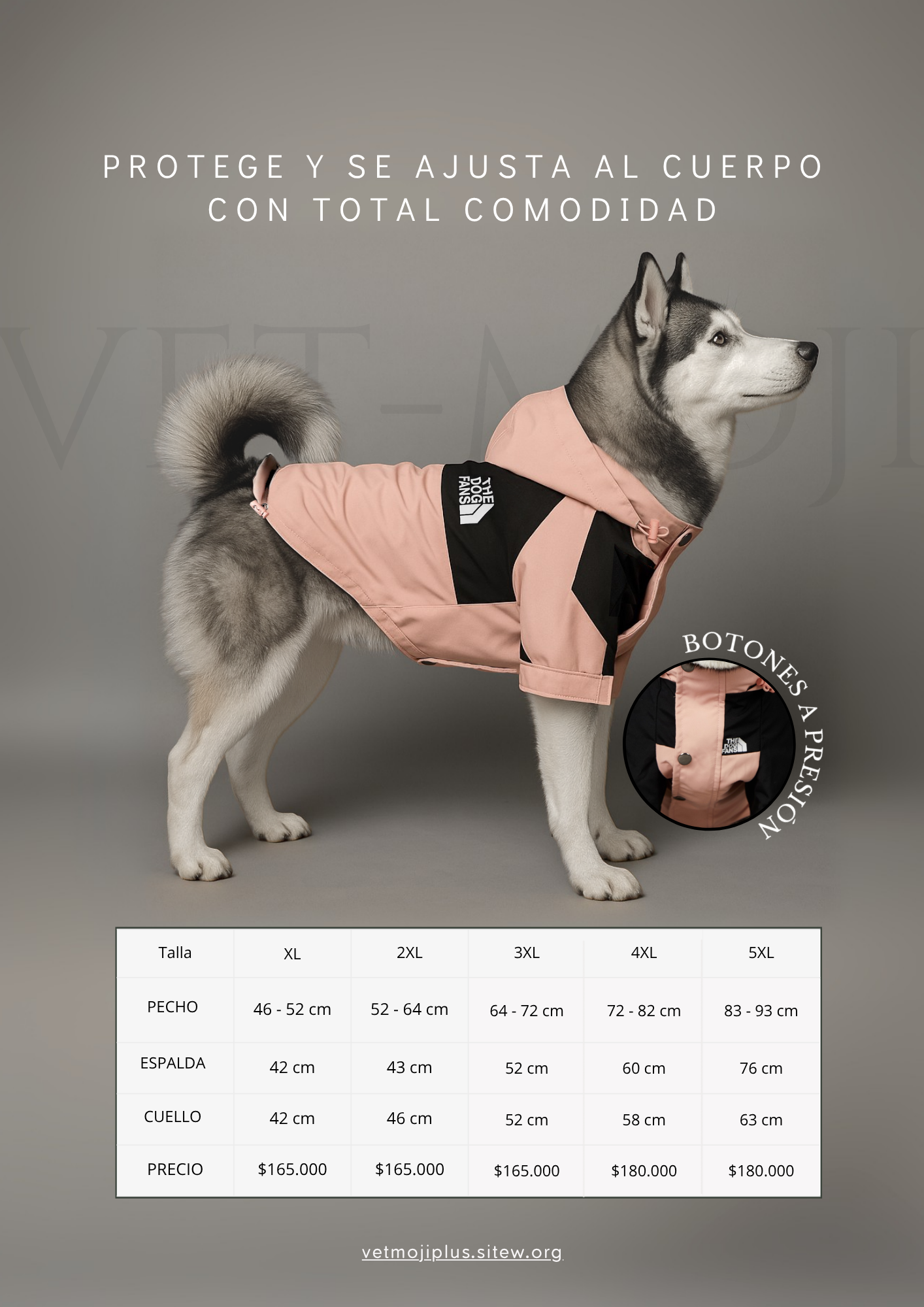 Documento a4 redes sociales marketing plantilla fotos moderno negrita gris 76 