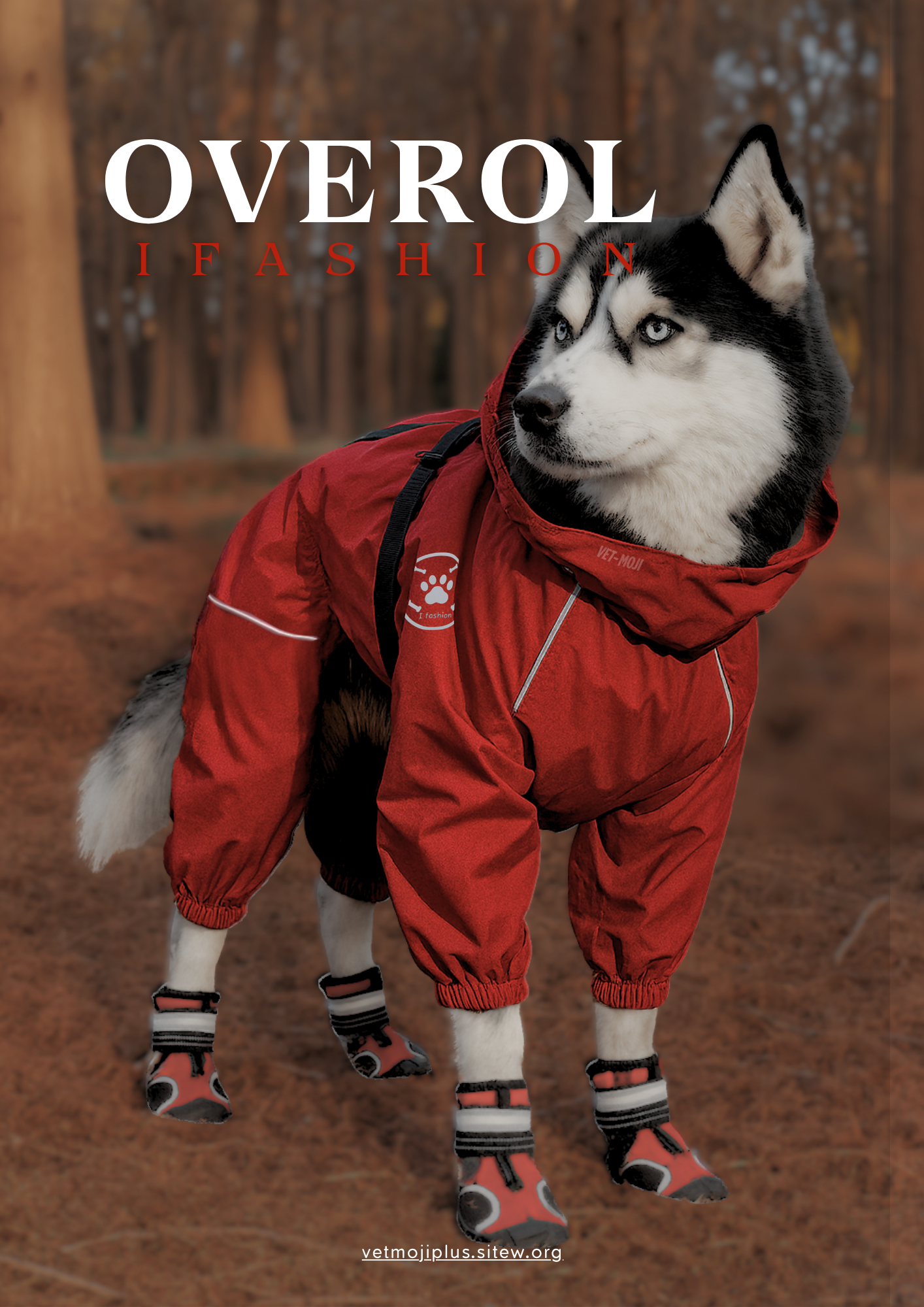 Documento a4 redes sociales marketing plantilla fotos moderno negrita gris 79 