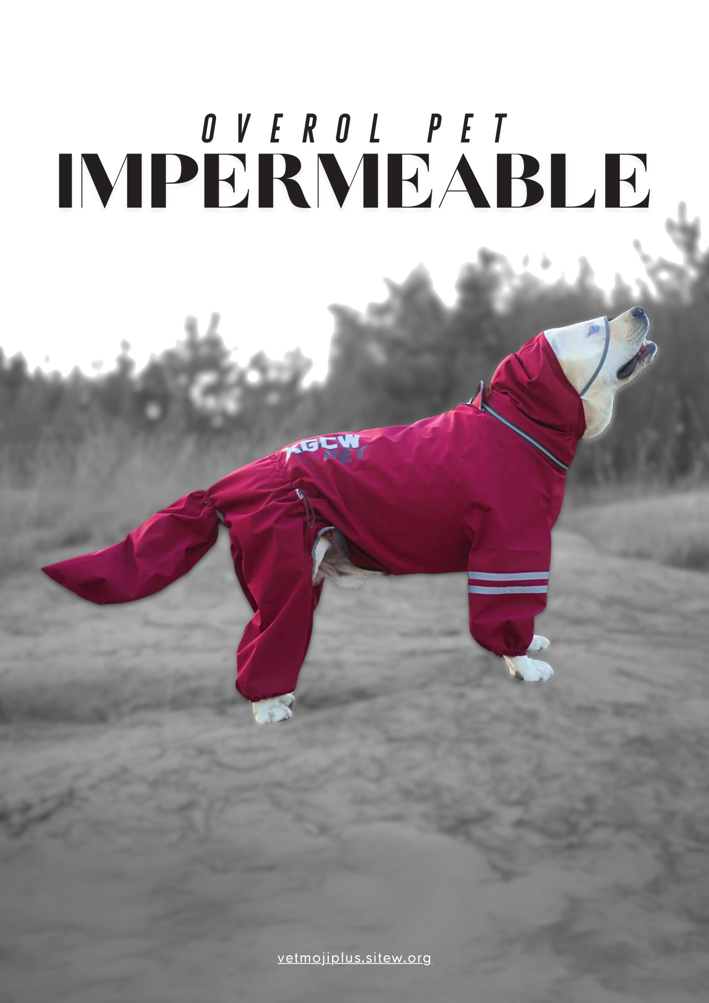 Documento a4 redes sociales marketing plantilla fotos moderno negrita gris 81 