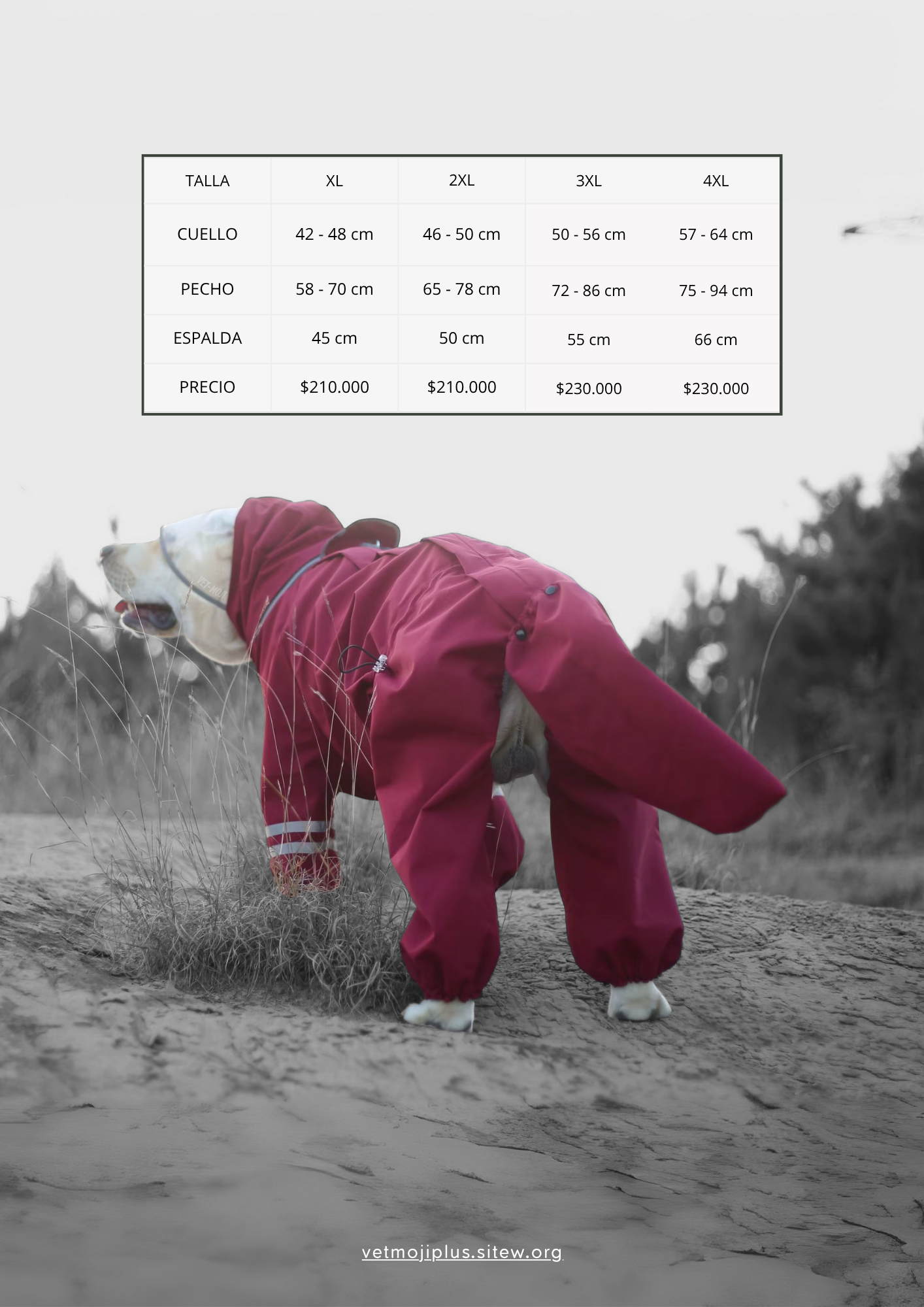 Documento a4 redes sociales marketing plantilla fotos moderno negrita gris 82 