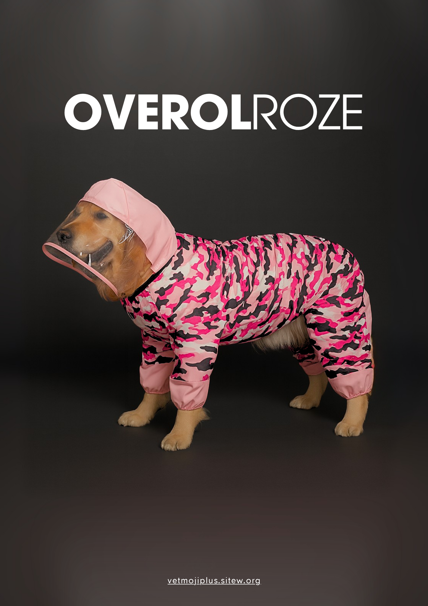 Documento a4 redes sociales marketing plantilla fotos moderno negrita gris 83 