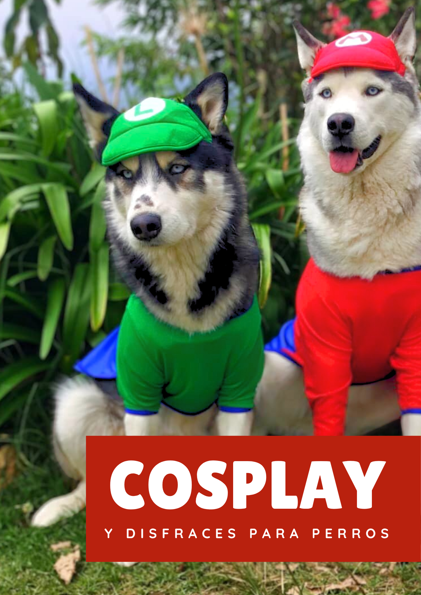 Documento a4 redes sociales marketing plantilla fotos moderno negrita gris 87 