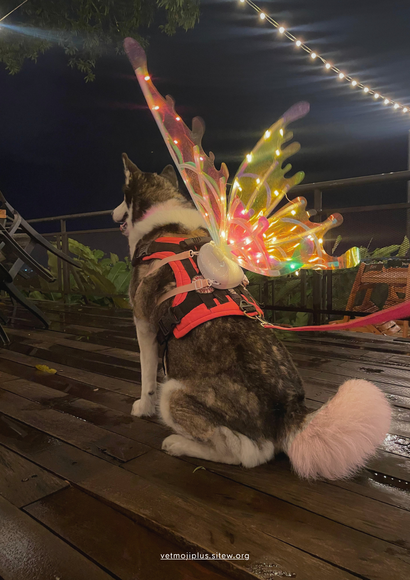 Documento a4 redes sociales marketing plantilla fotos moderno negrita gris 90 