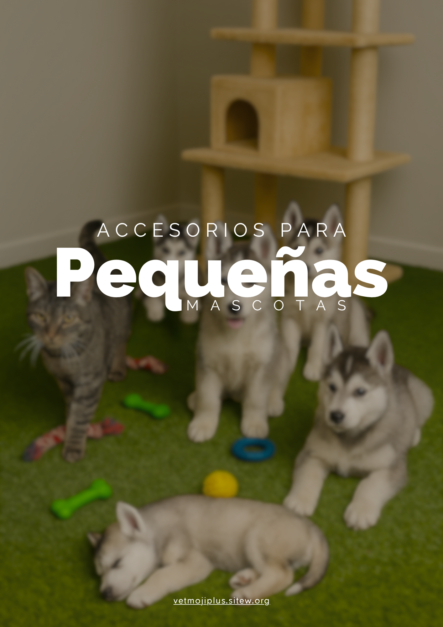 Documento a4 redes sociales marketing plantilla fotos moderno negrita gris 95 