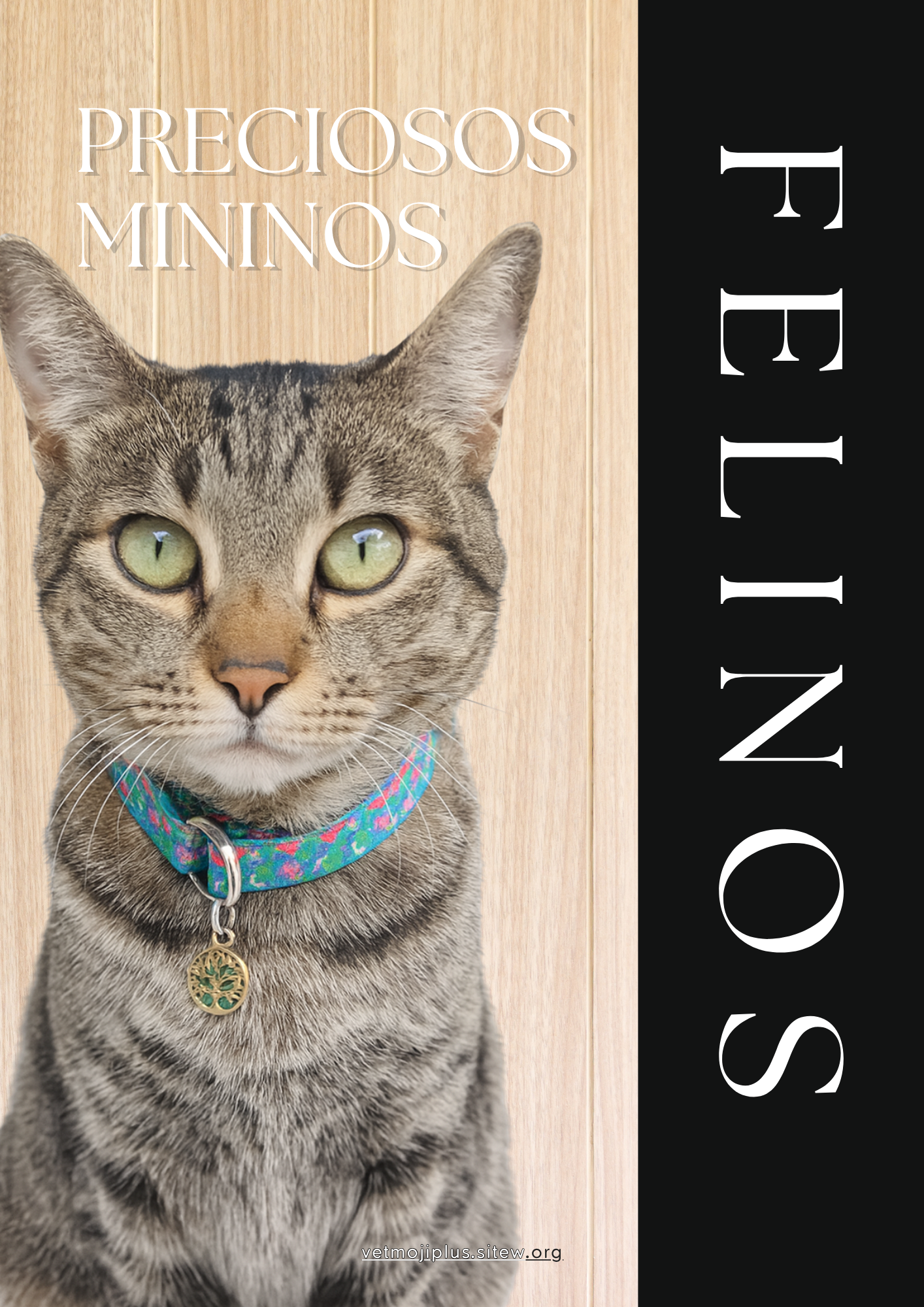 Documento a4 redes sociales marketing plantilla fotos moderno negrita gris 2025 10 04t220234 493