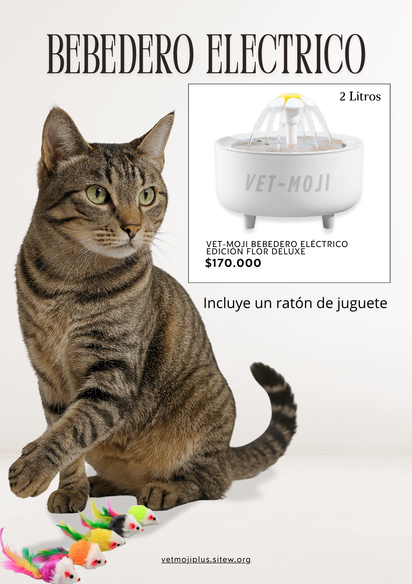 Documento a4 redes sociales marketing plantilla fotos moderno negrita gris 2025 10 04t220504 861