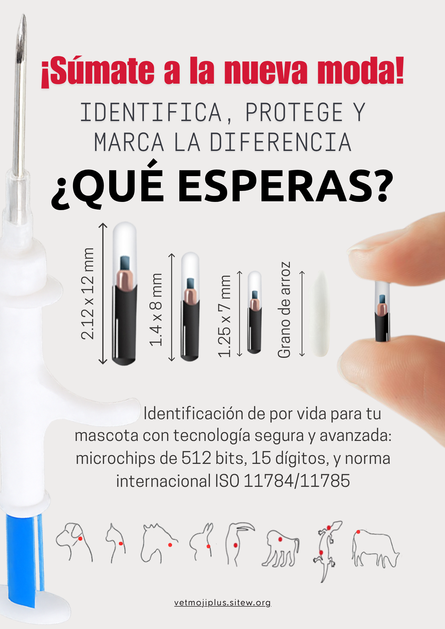 Documento a4 redes sociales marketing plantilla fotos moderno negrita gris 2025 10 04t221350 679