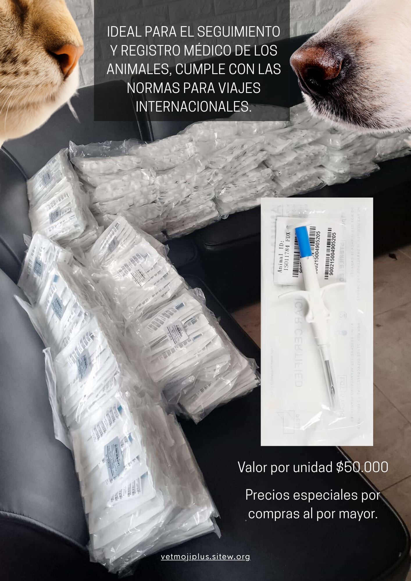 Documento a4 redes sociales marketing plantilla fotos moderno negrita gris 2025 10 04t223621 920