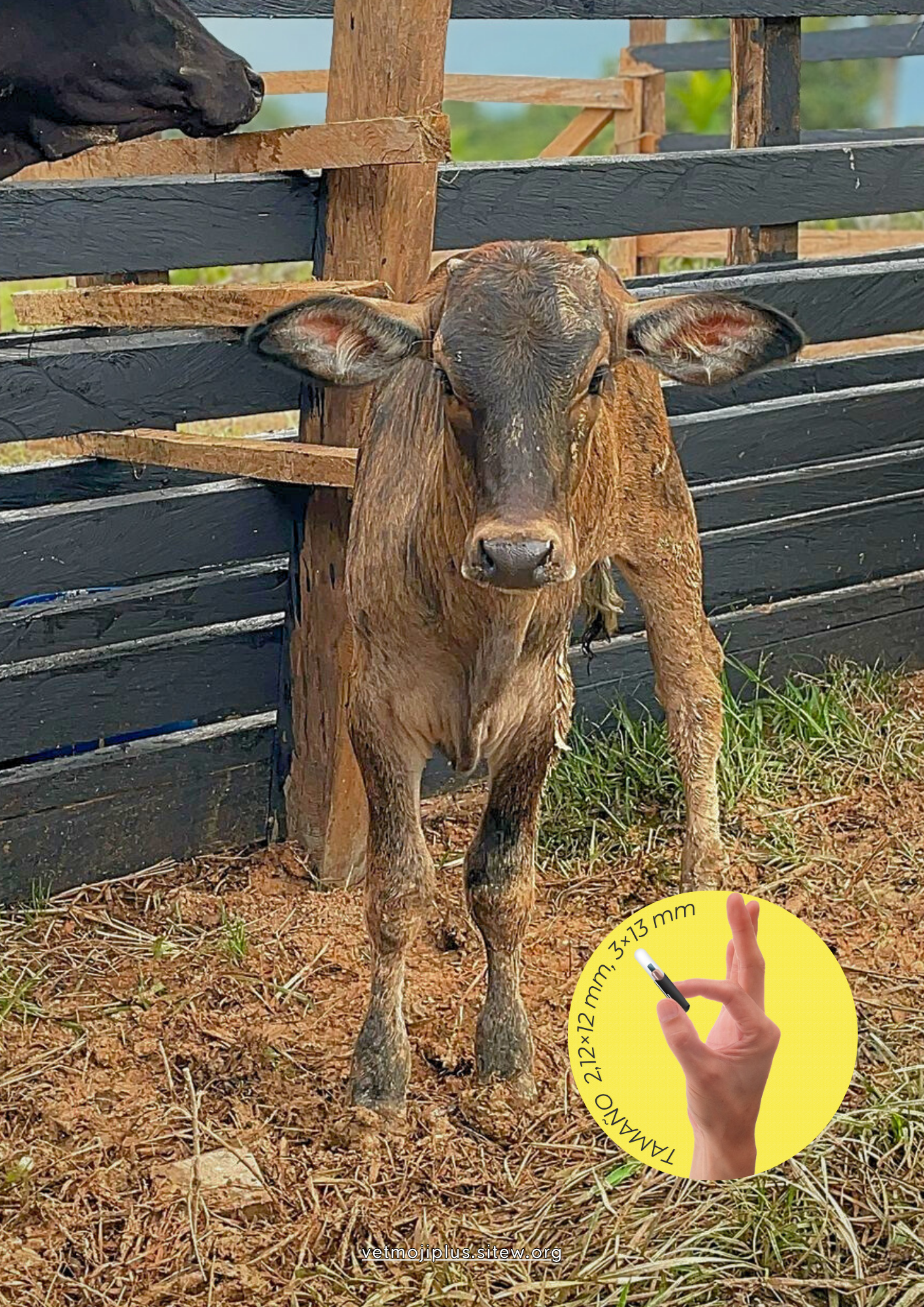 Documento a4 redes sociales marketing plantilla fotos moderno negrita gris 2025 10 04t223710 481